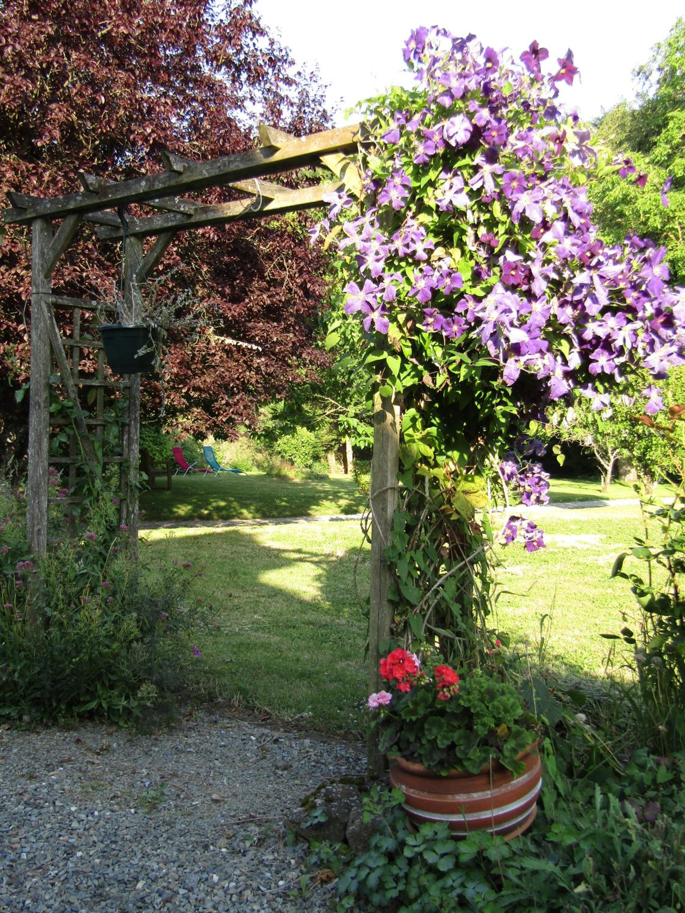Photo 21