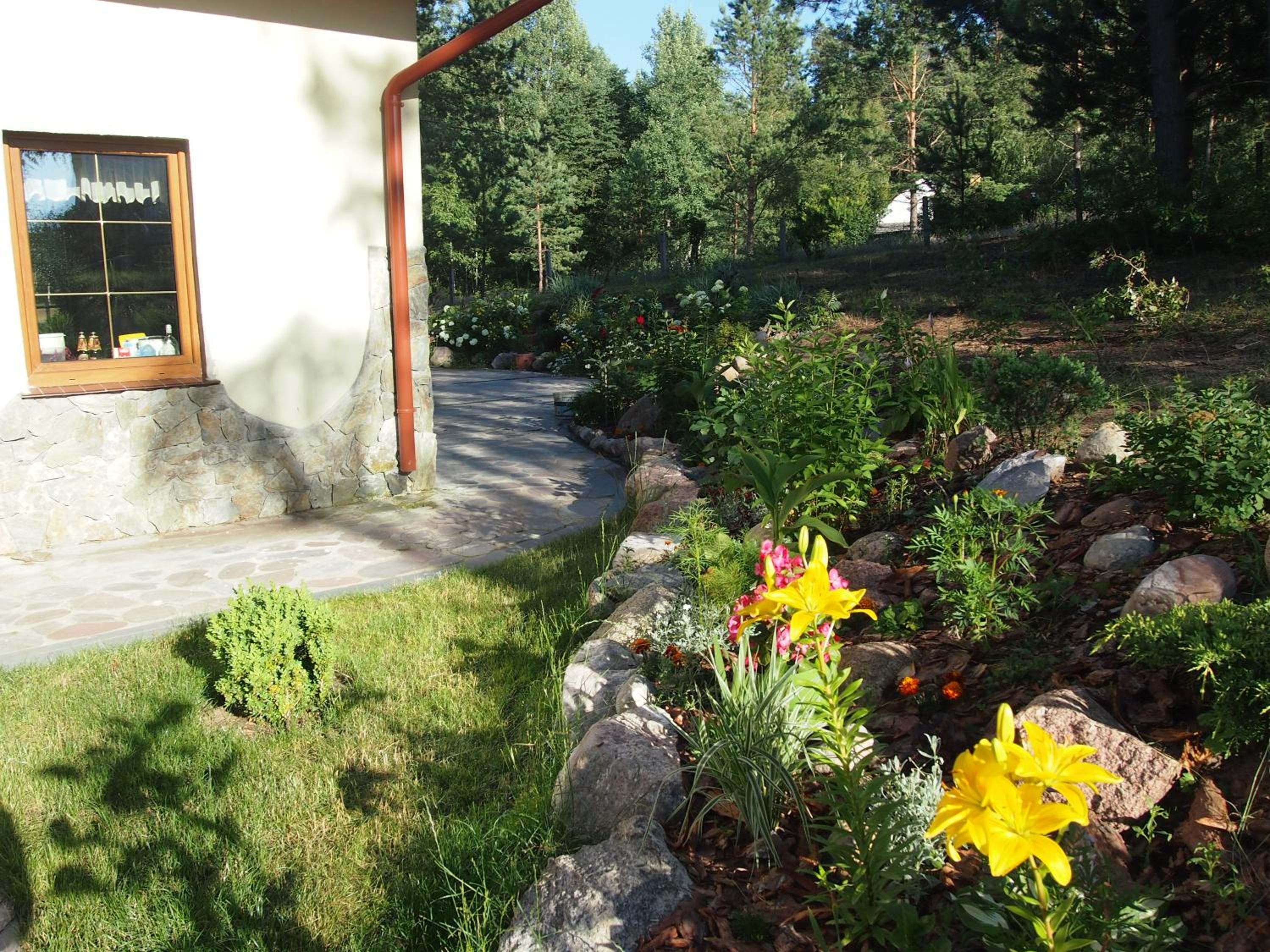 Photo 26