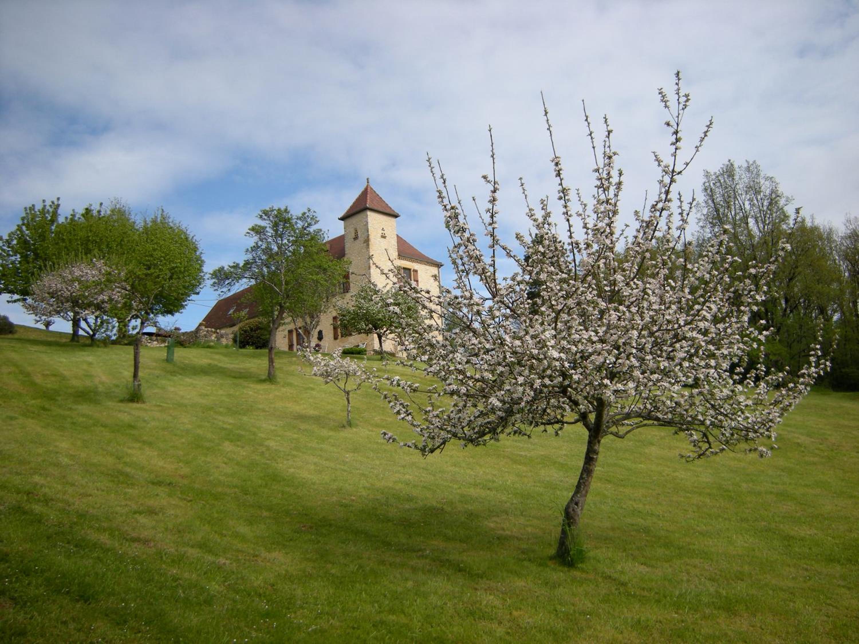 Photo 19