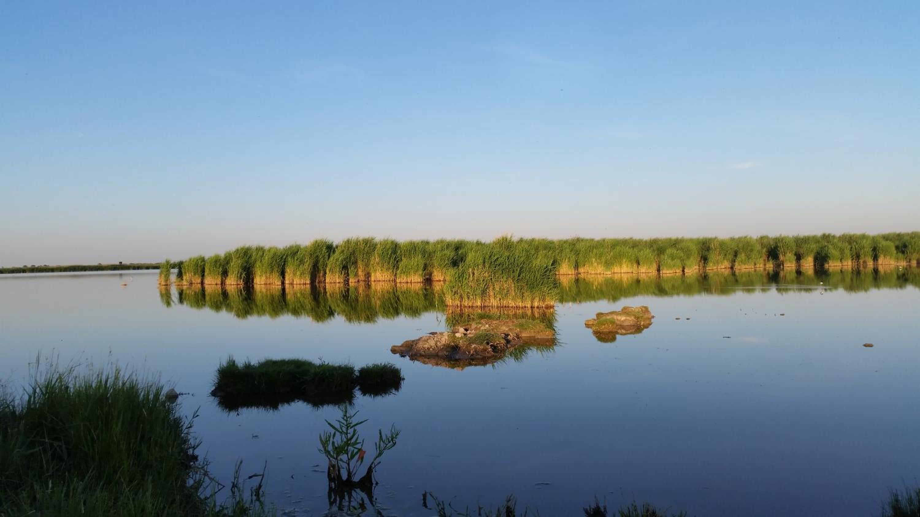ARKADENHOF zur Puszta GRAF