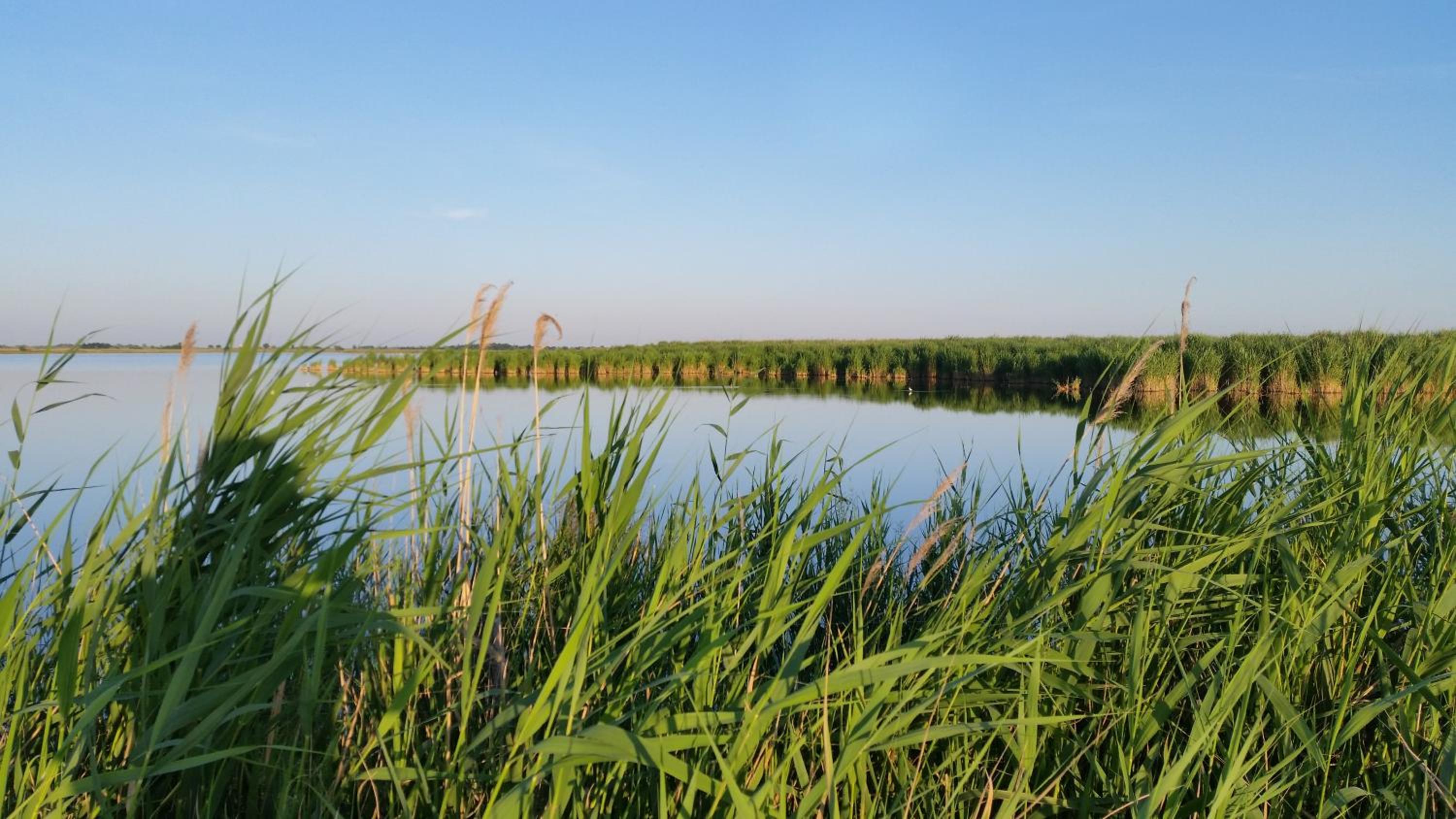 ARKADENHOF zur Puszta GRAF