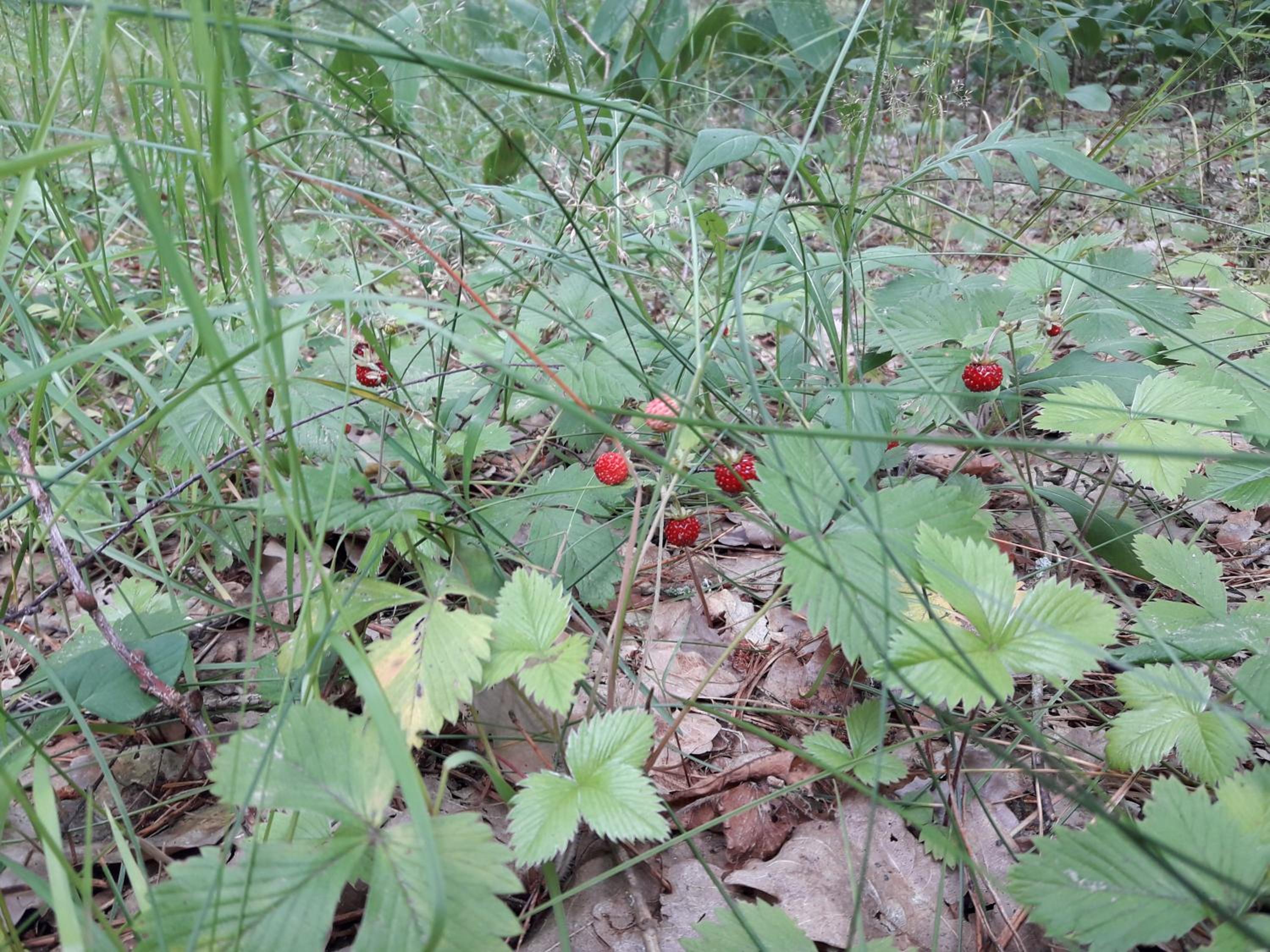 Photo 26