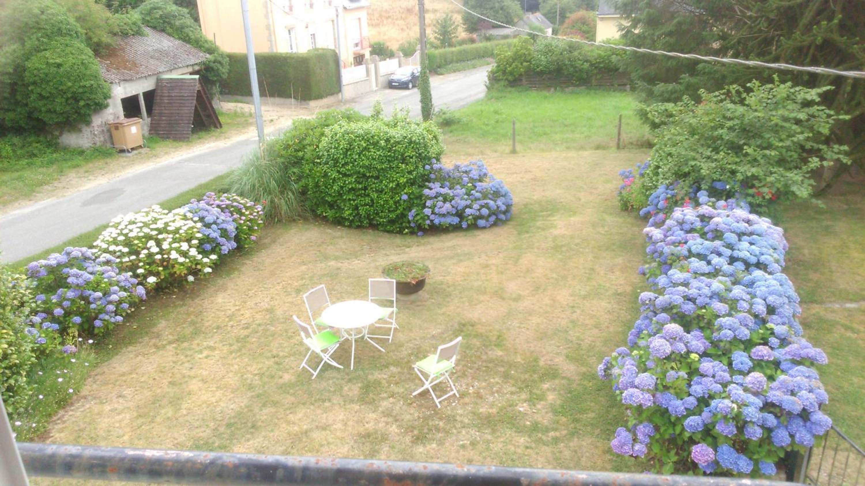Photo 25