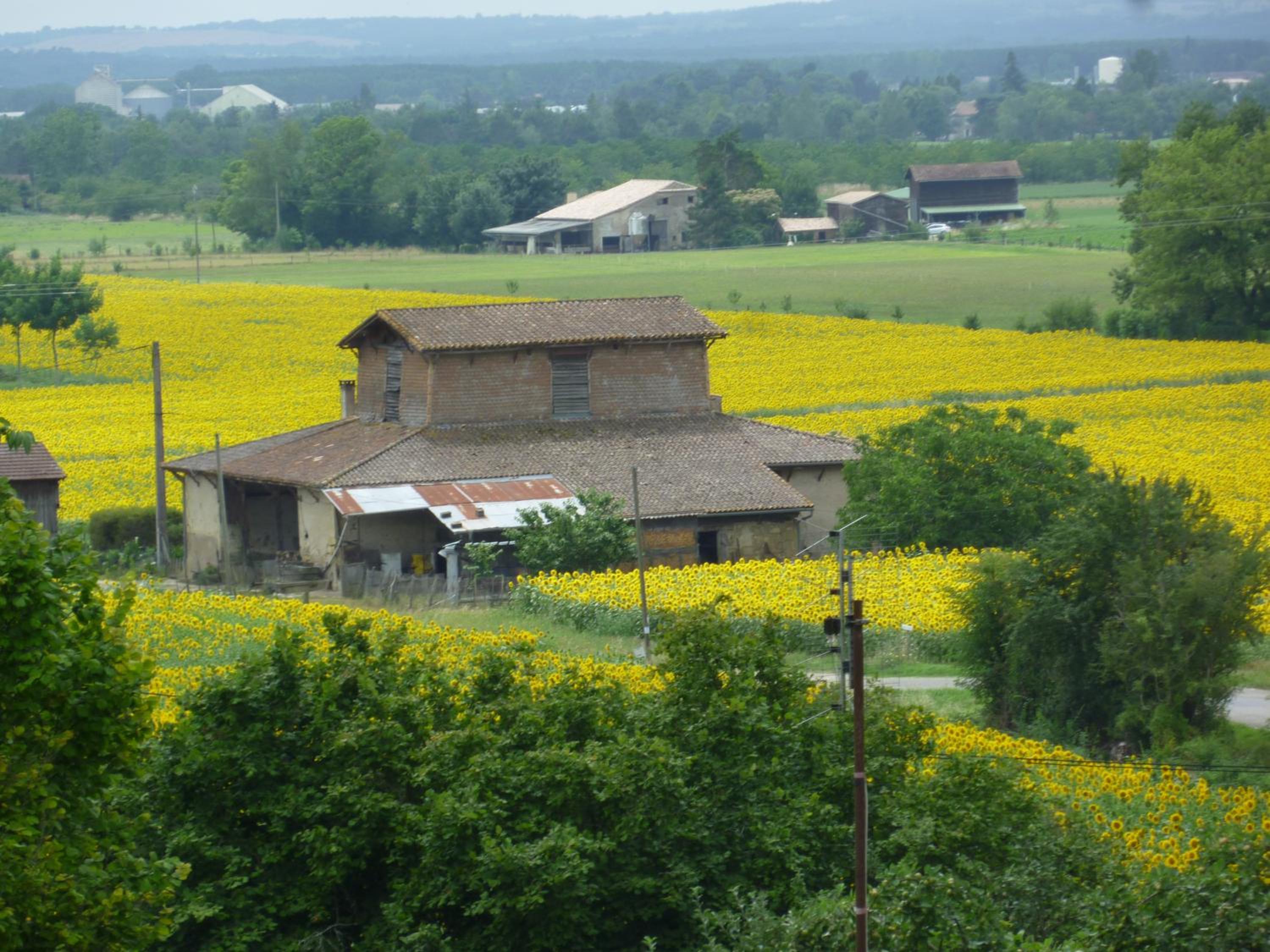 Tour Rouge Gites