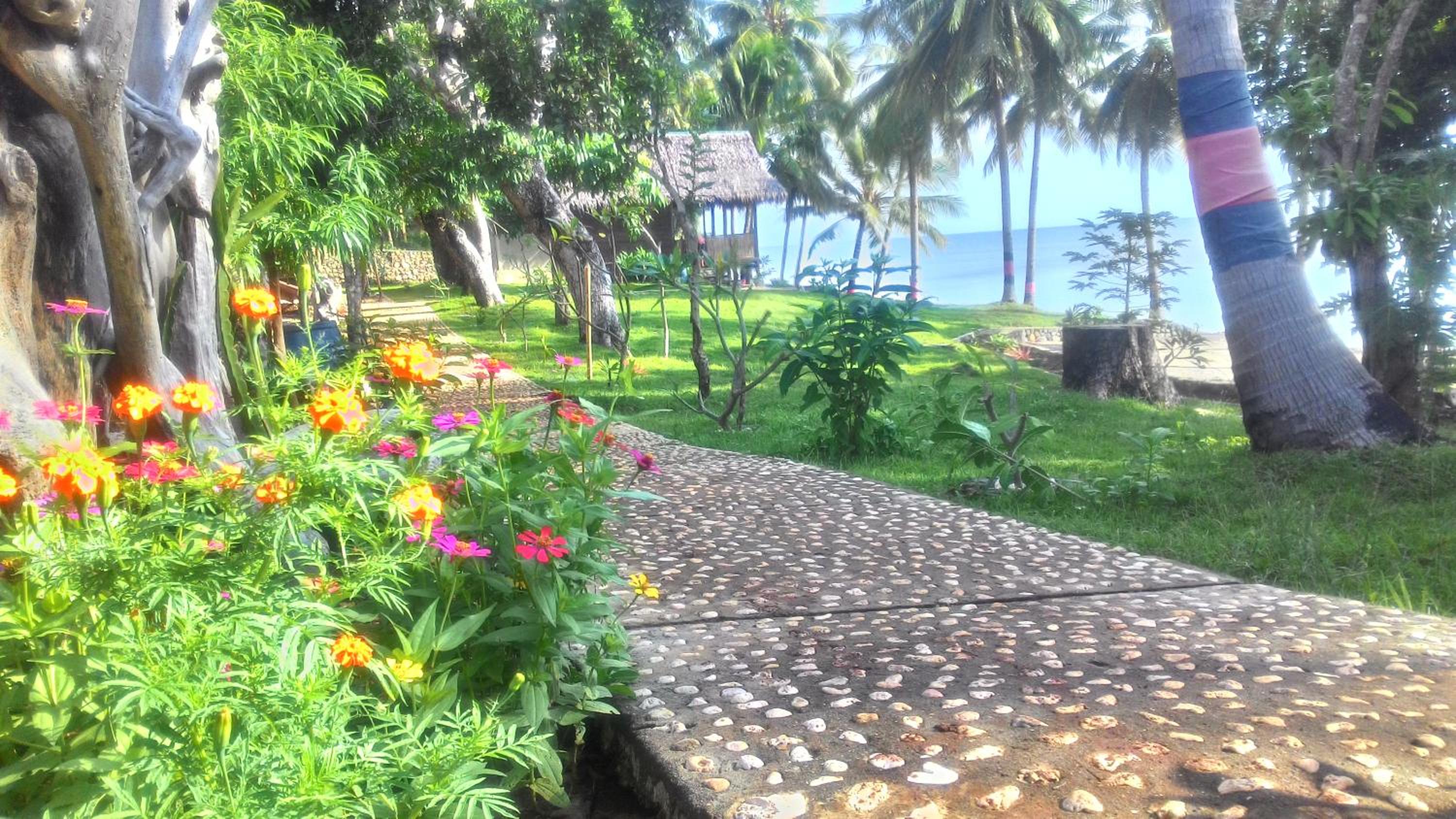 garden