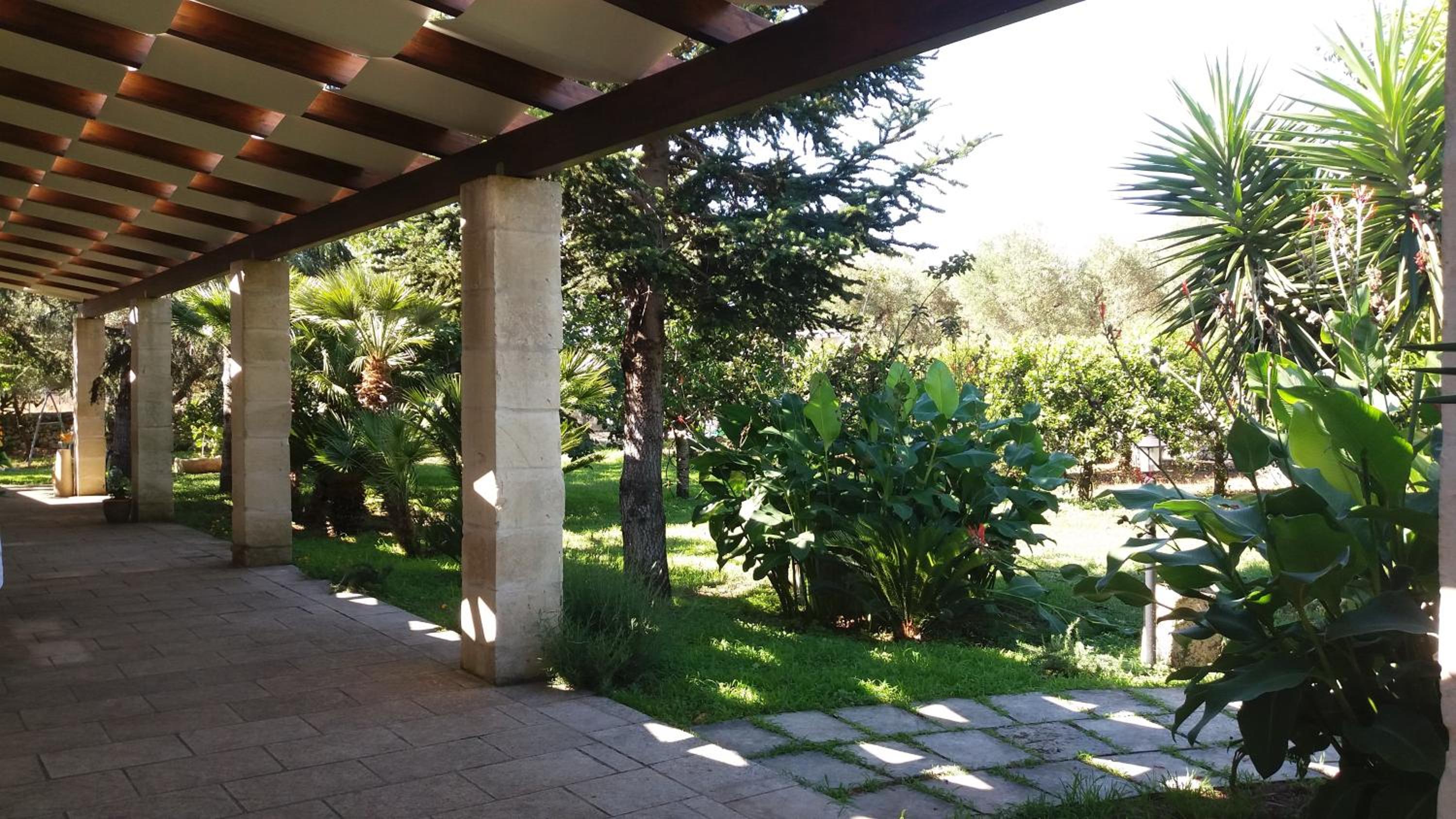 Photo 46