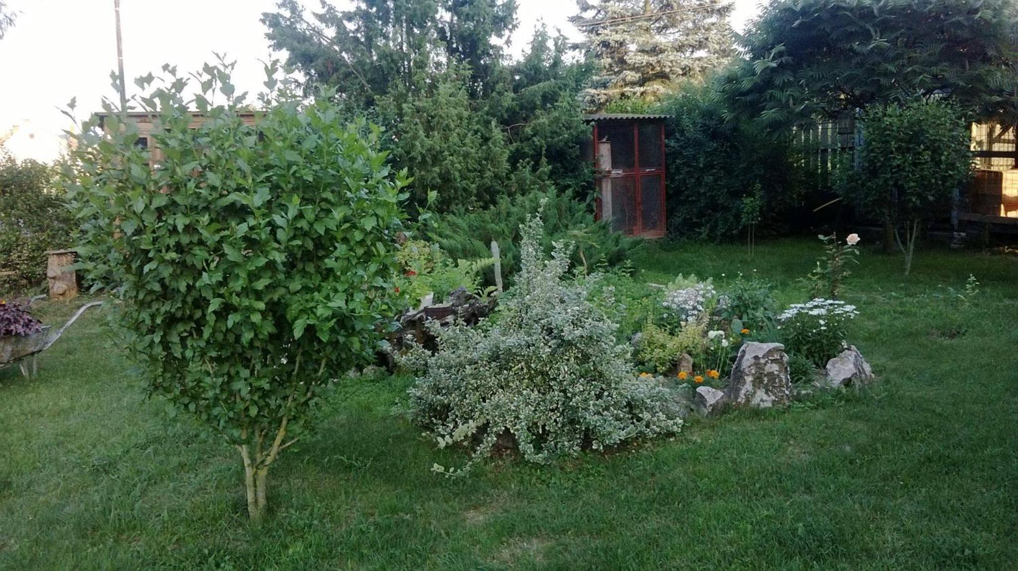 Photo 21