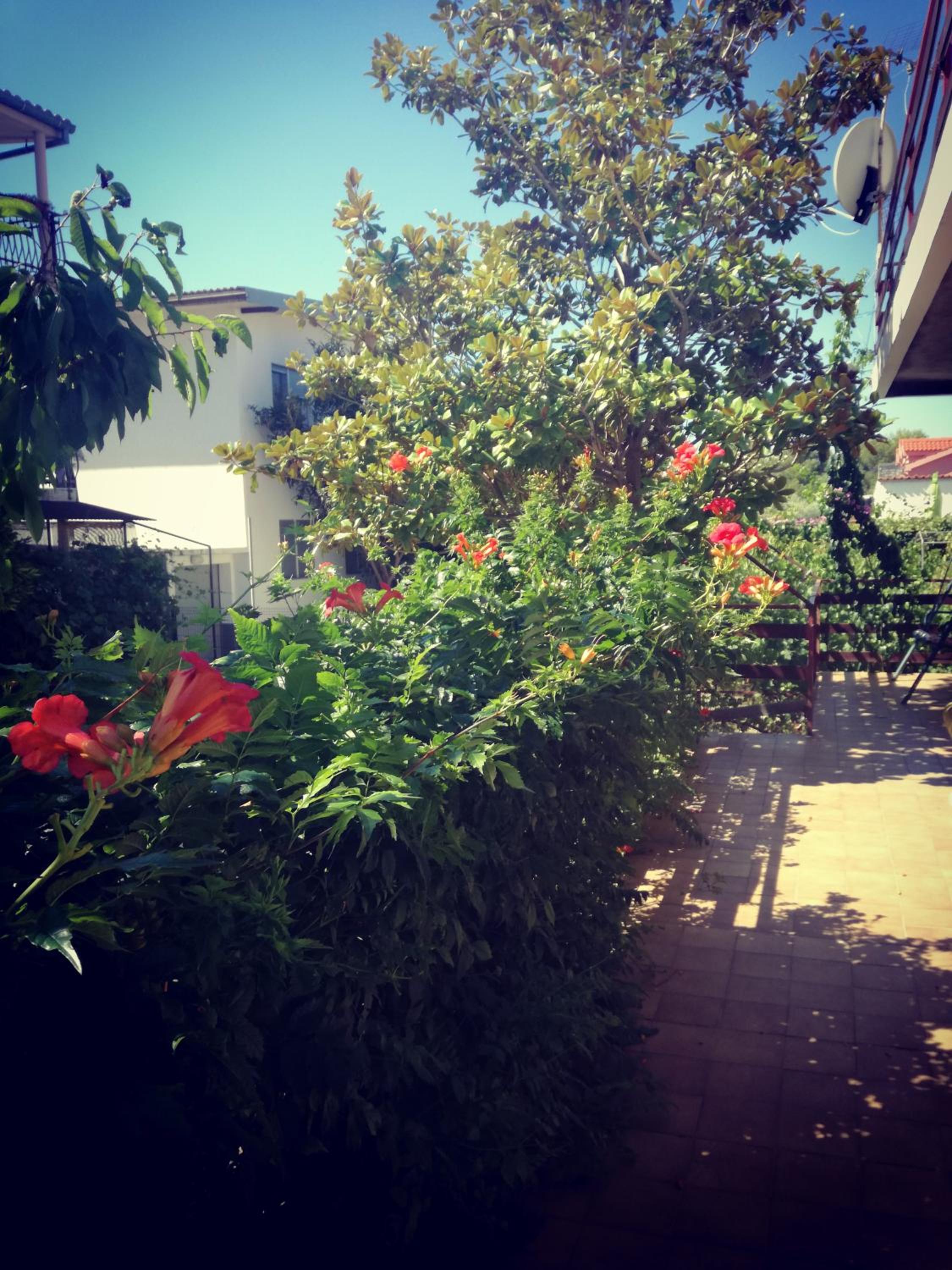 Photo 35