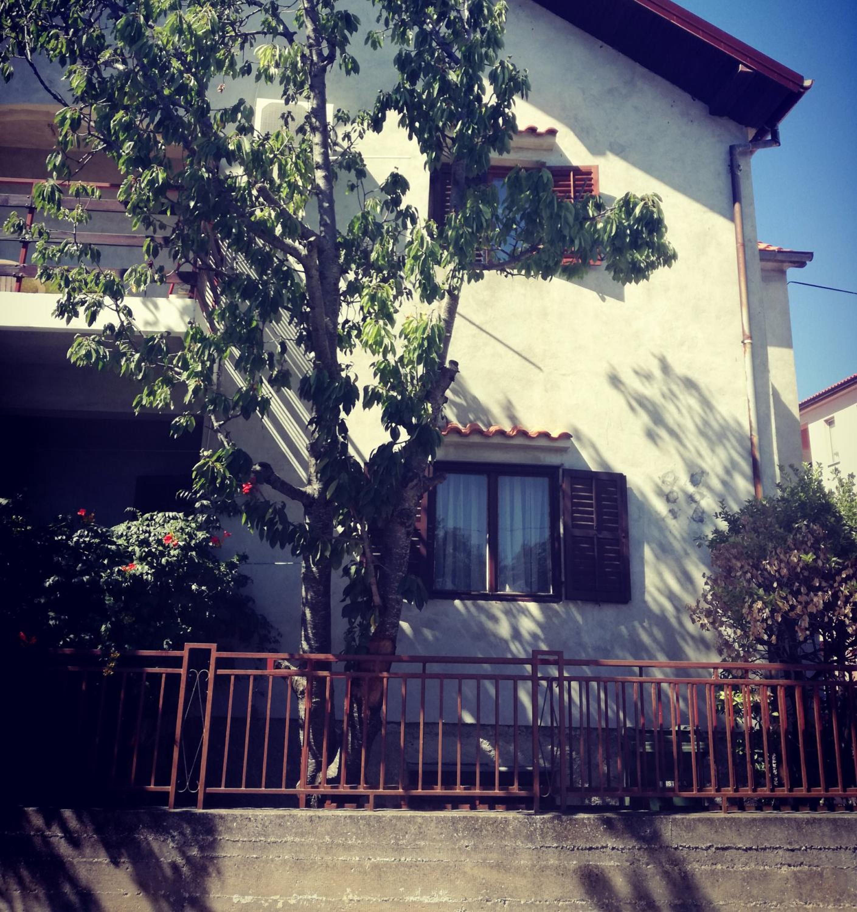 Photo 37