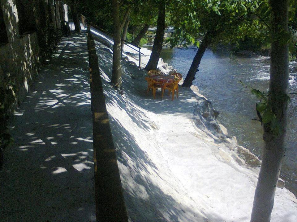 Guest House 