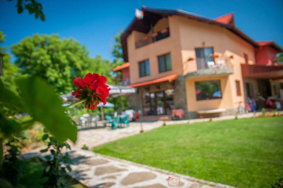 Guest House 
