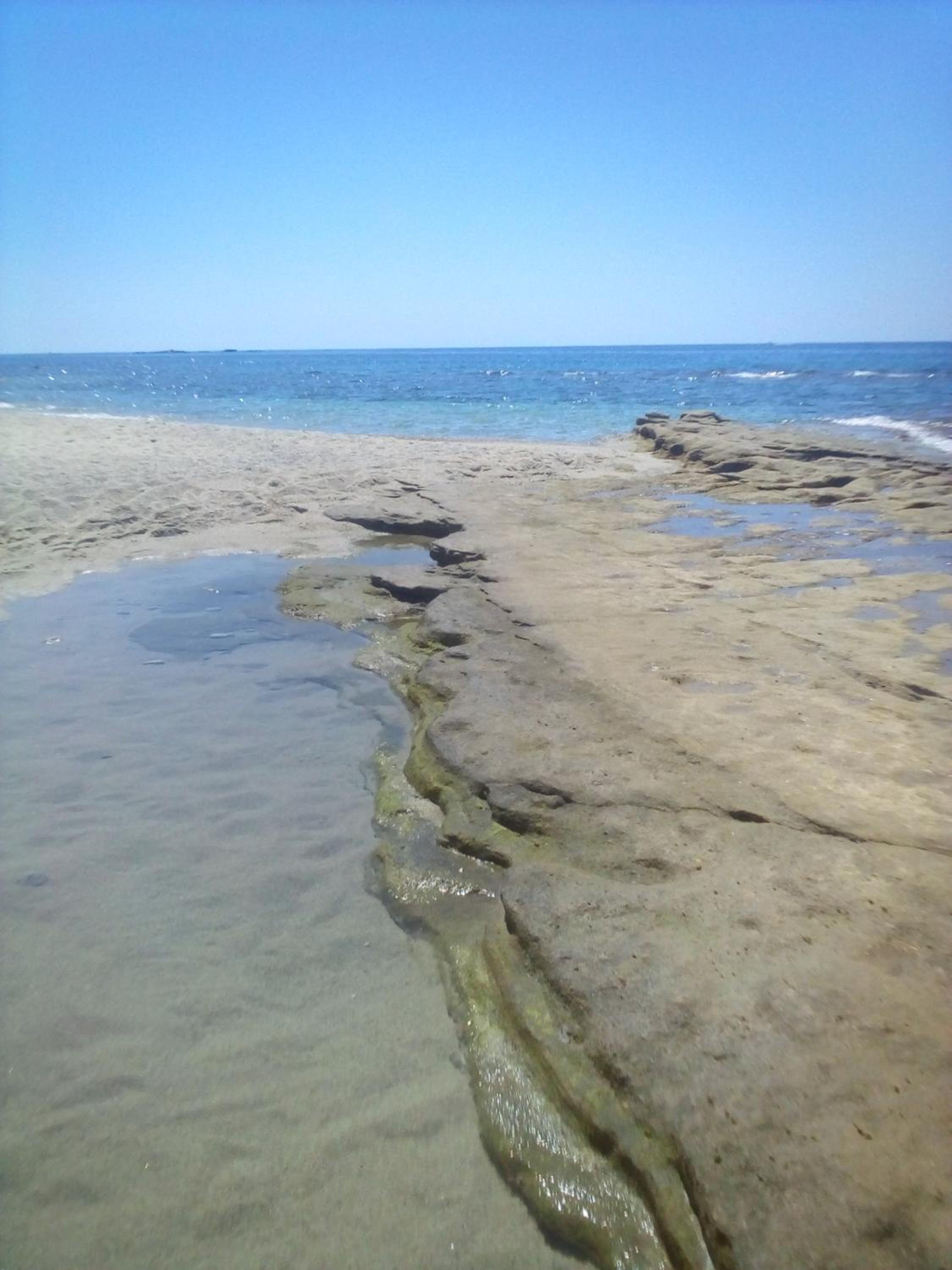 Photo 46