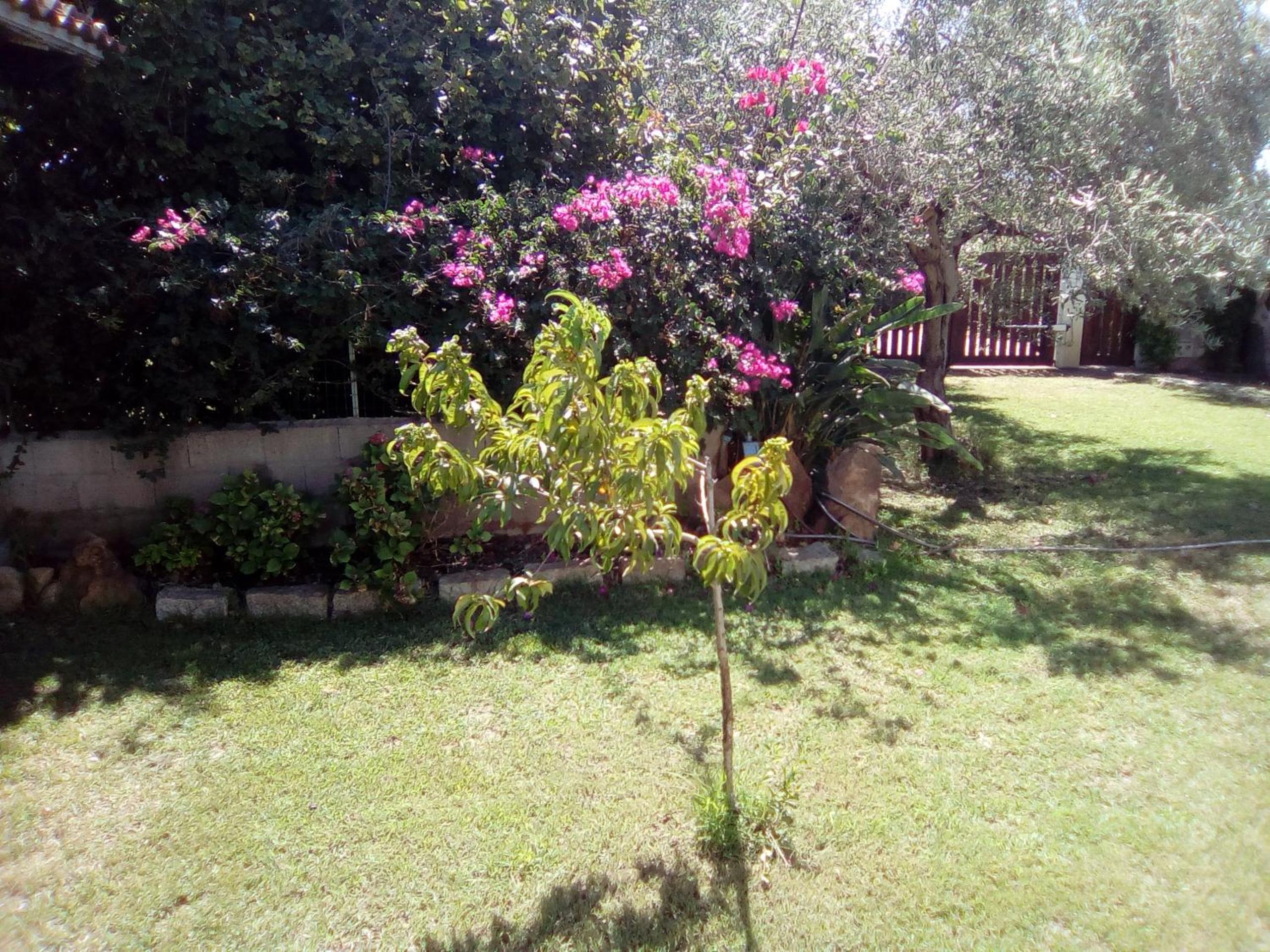 Villa Pontes view 4