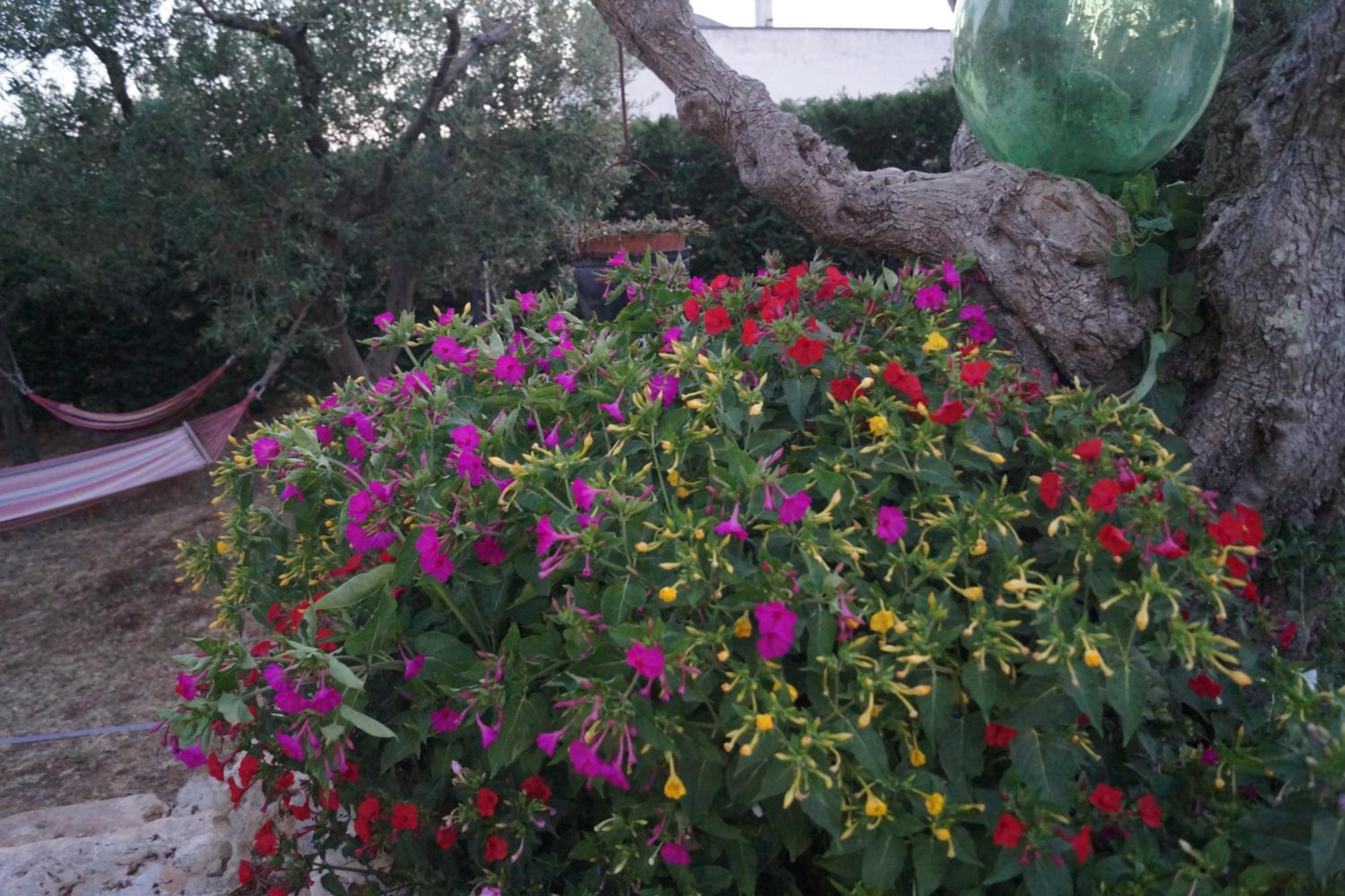 Photo 53