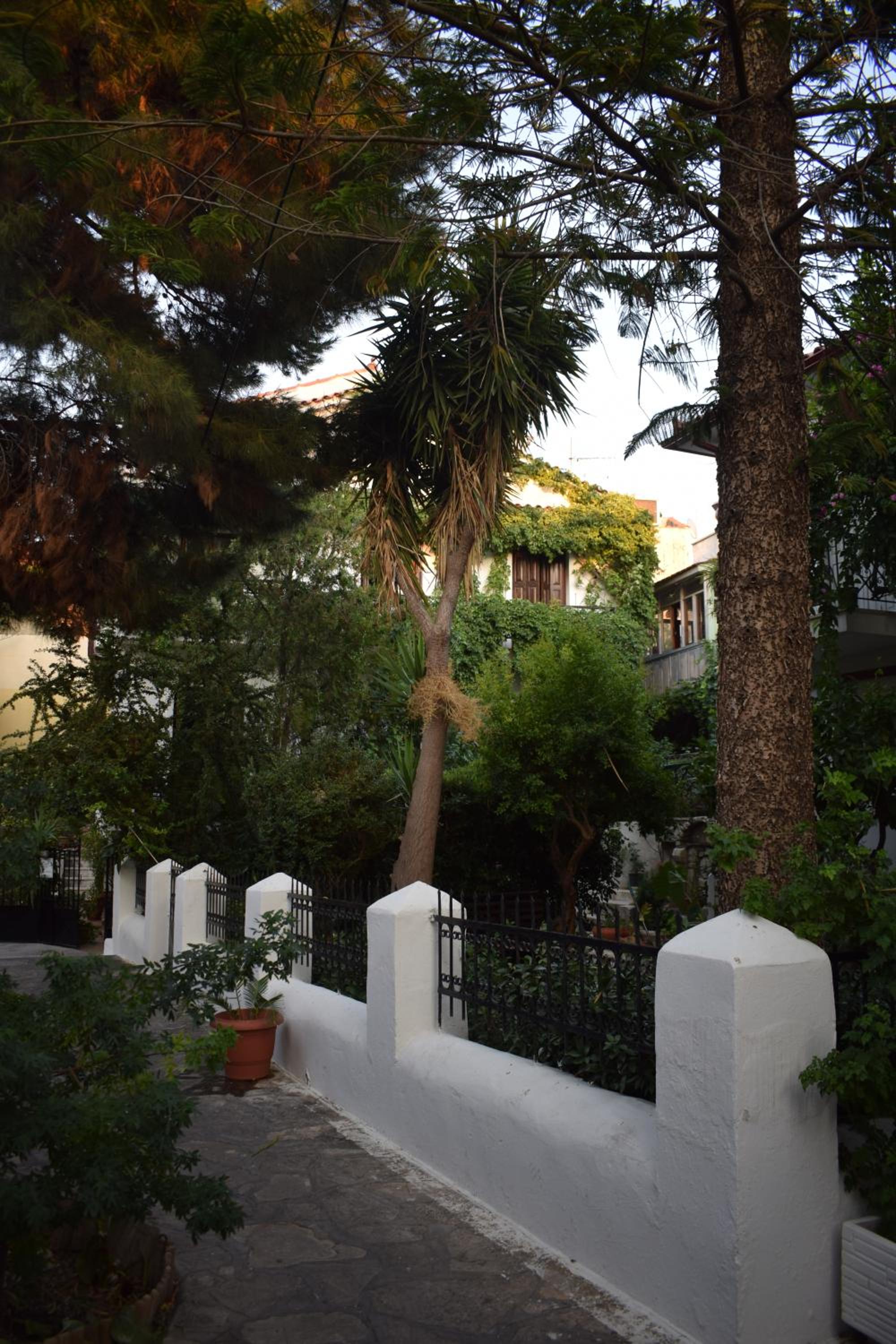 Photo 8