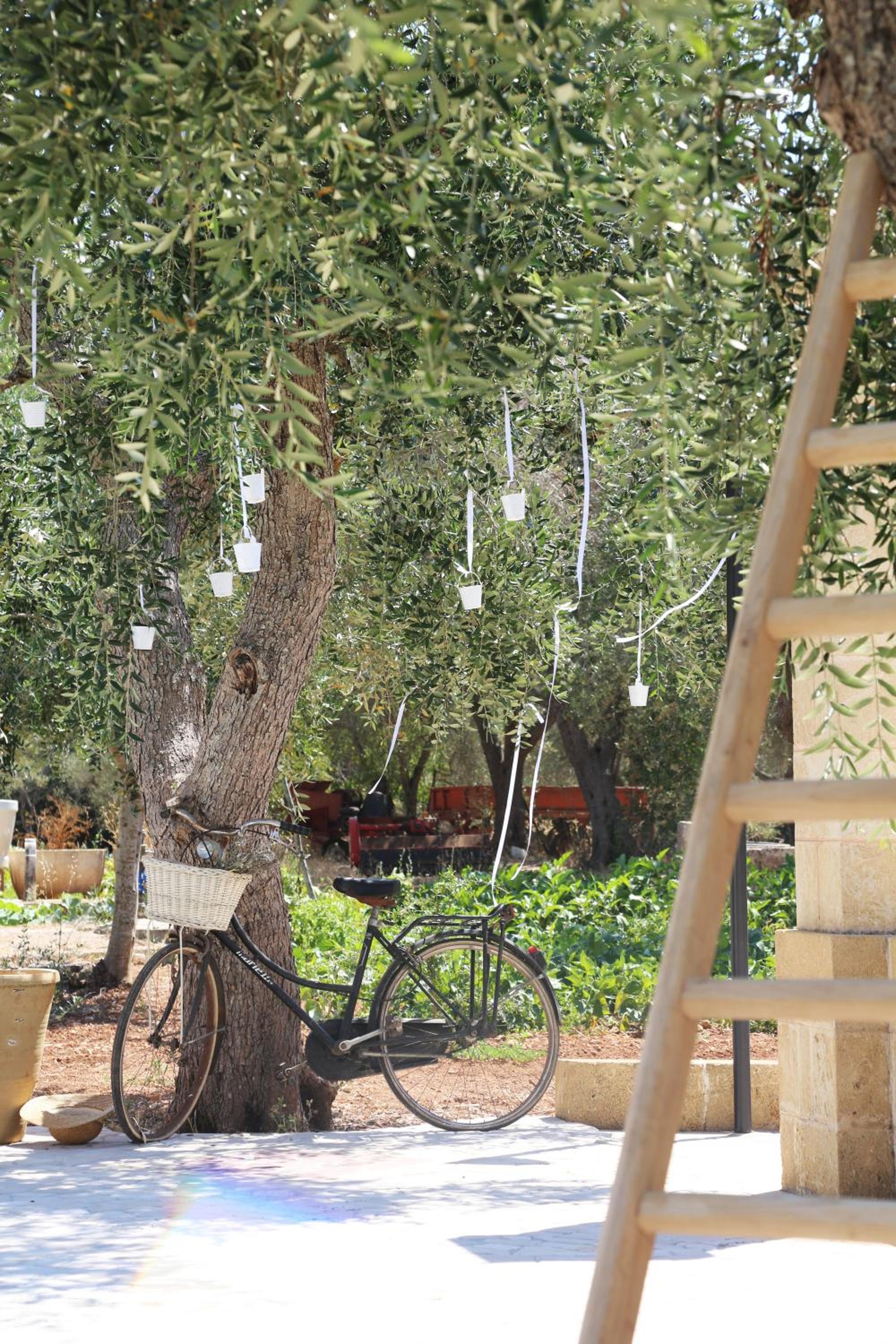 Il Giardino Degli Aromi view 2