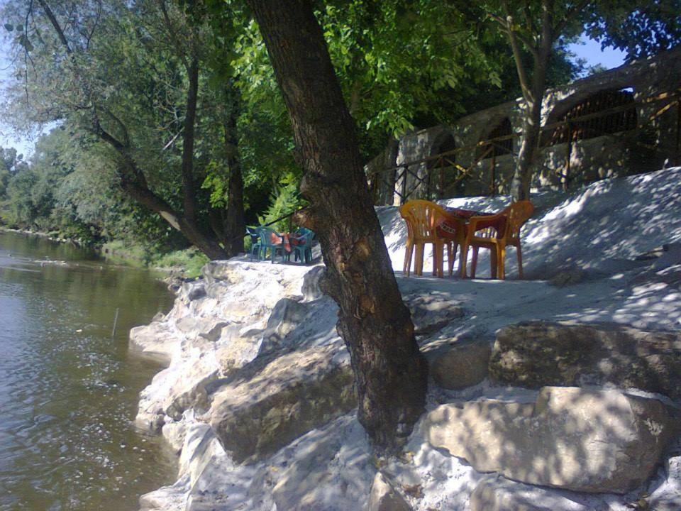 Guest House 