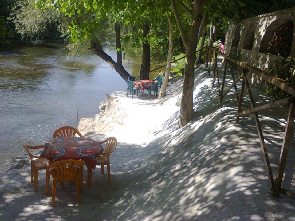 Guest House 