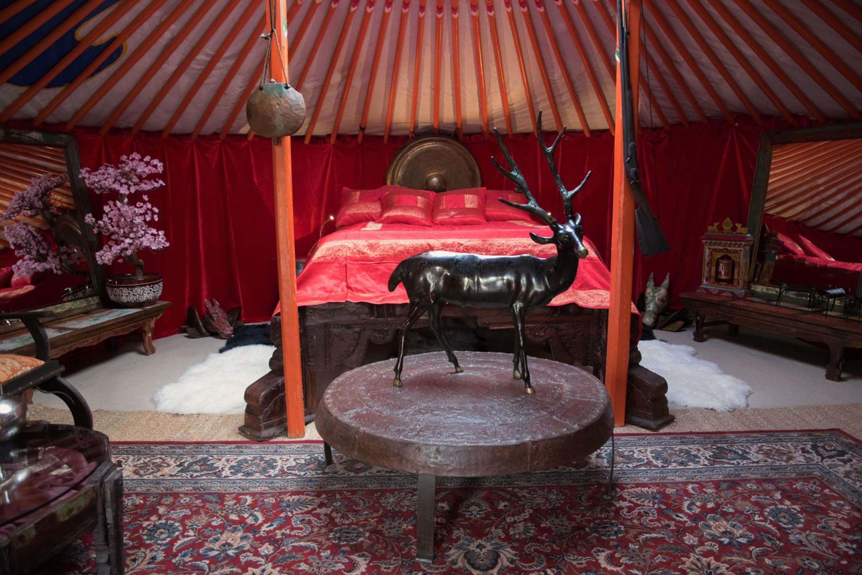 Hotel Crazy Lounge B&B