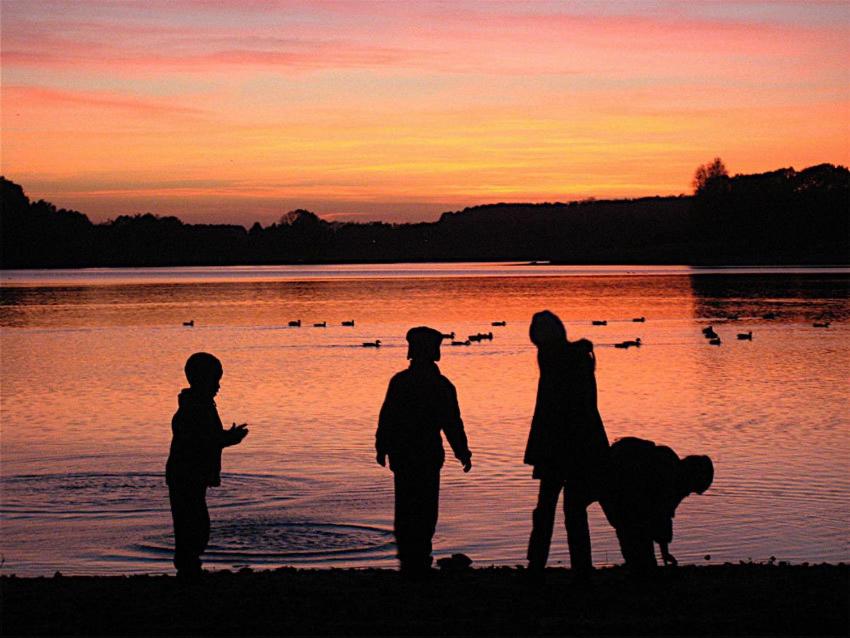 Domaine Les Nids du Lac