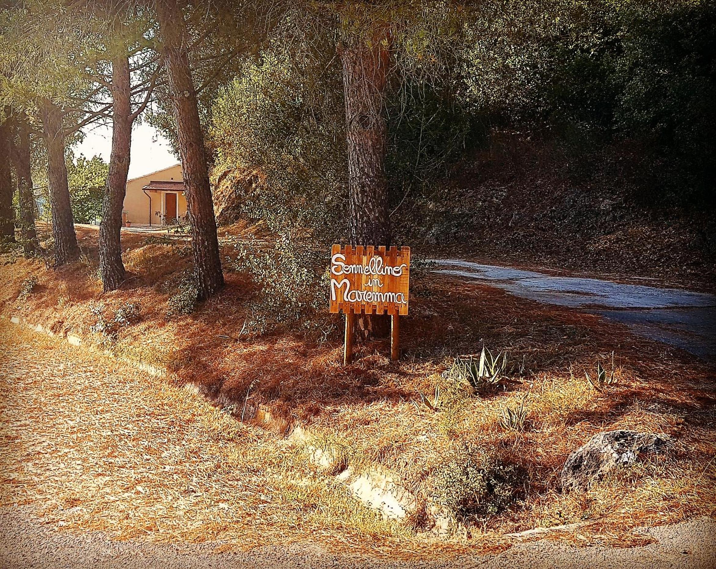 Sonnellino in Maremma photo 5