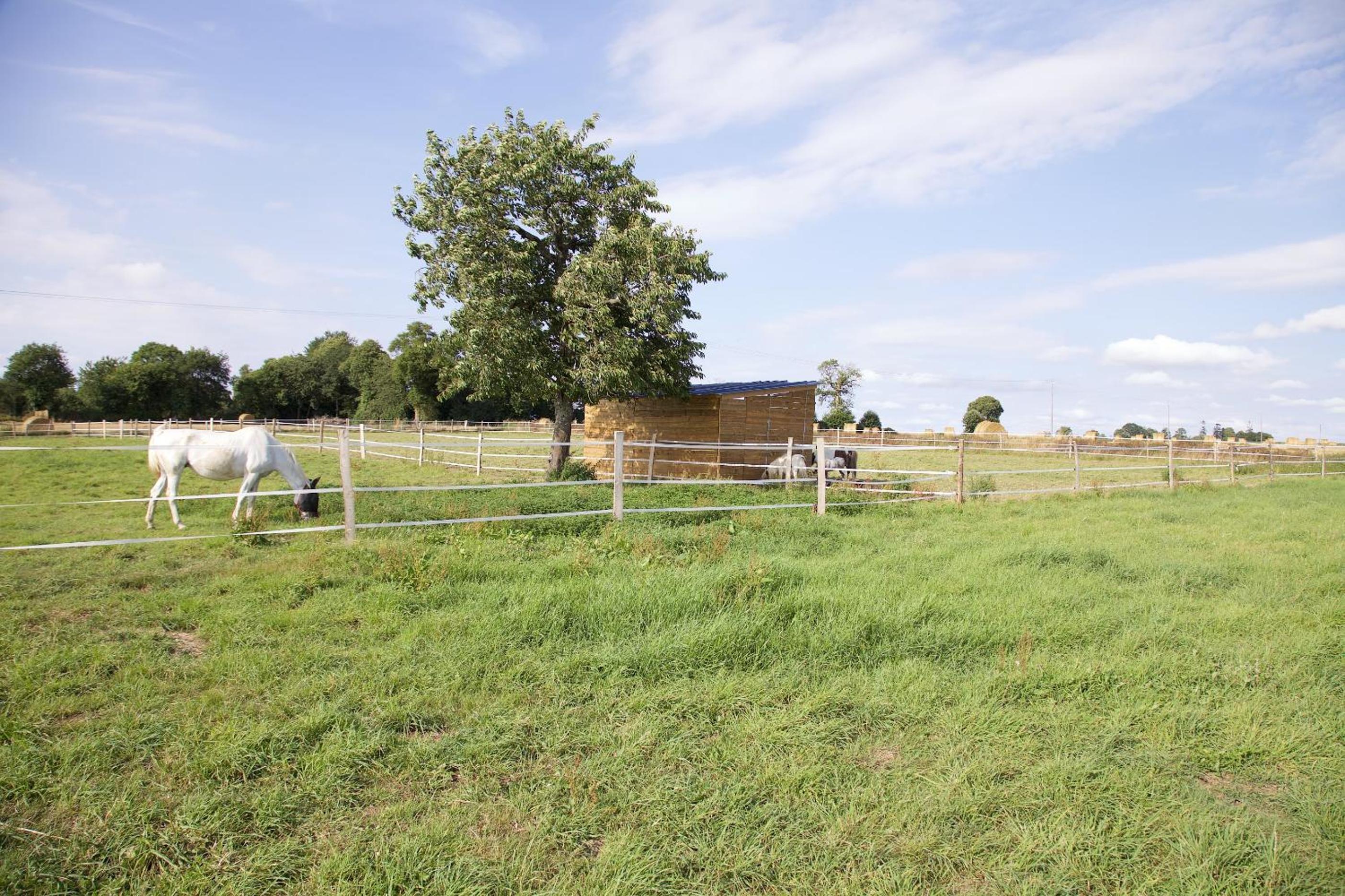 La Petite Chesnee view 5