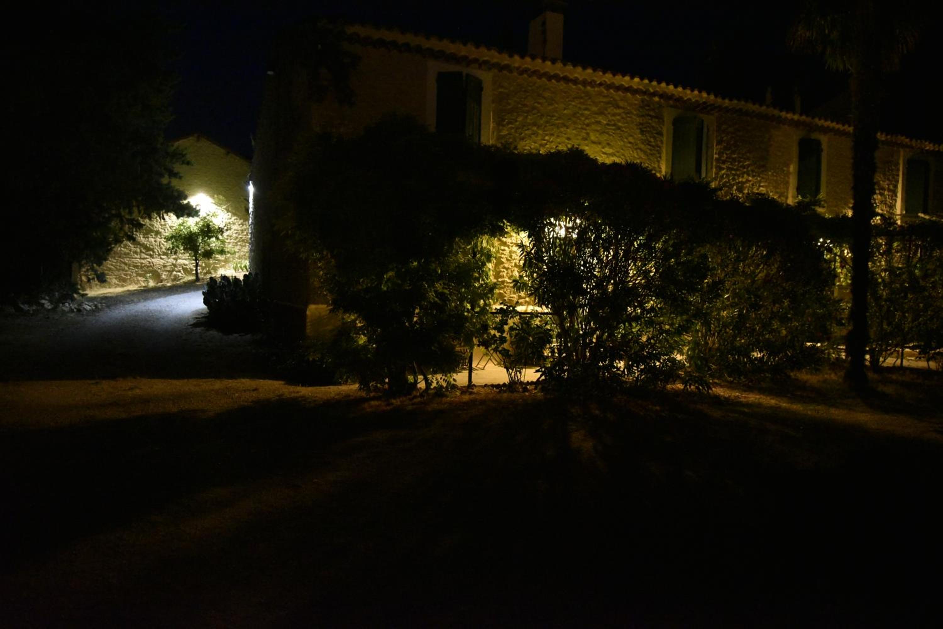 Photo 21