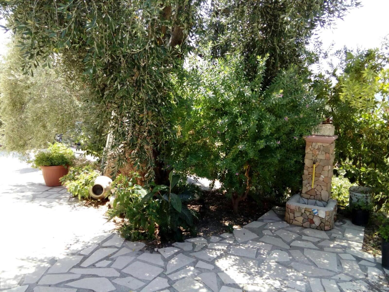 Photo 38