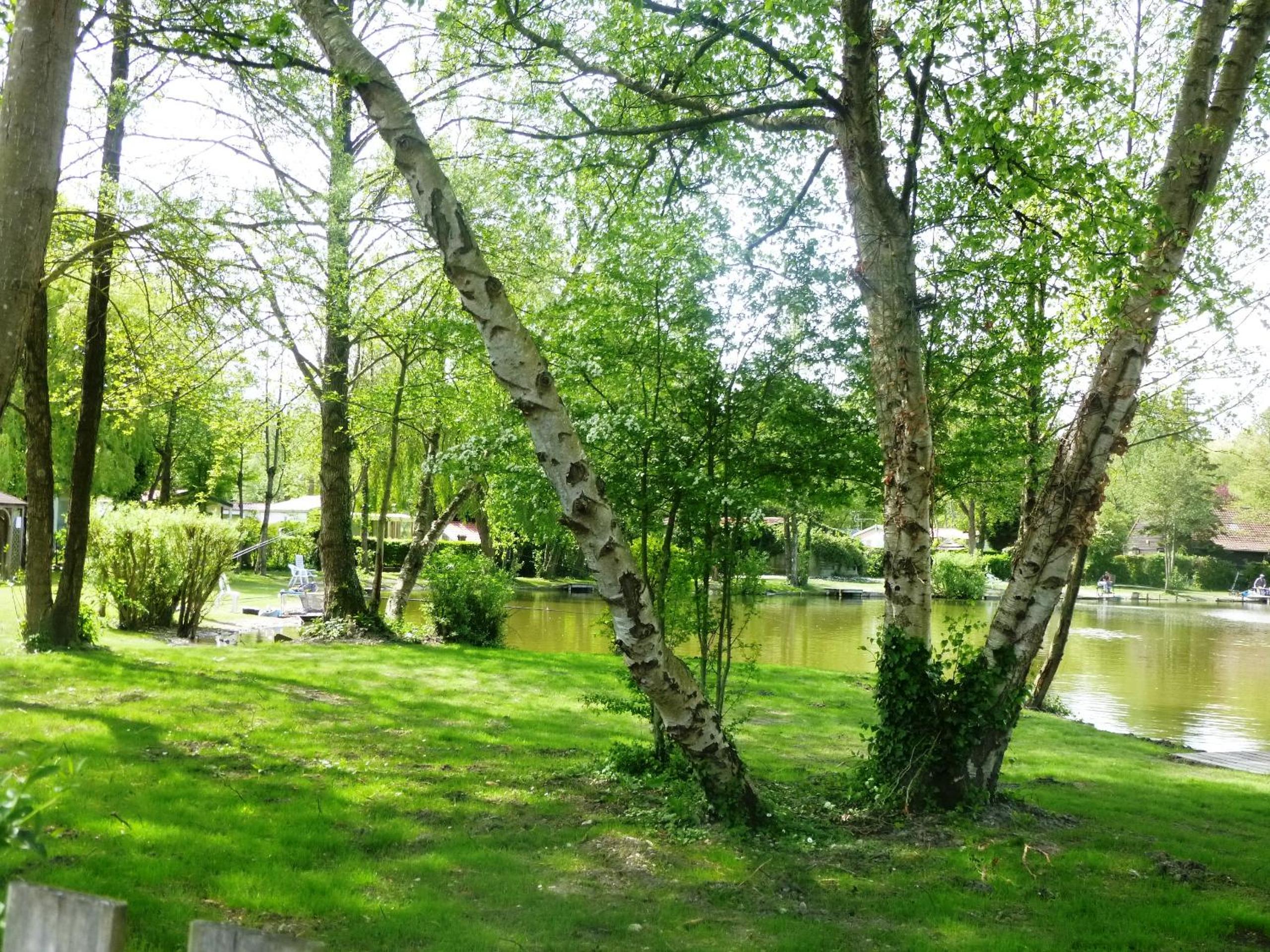 Caravaning Les Tourterelles view 3