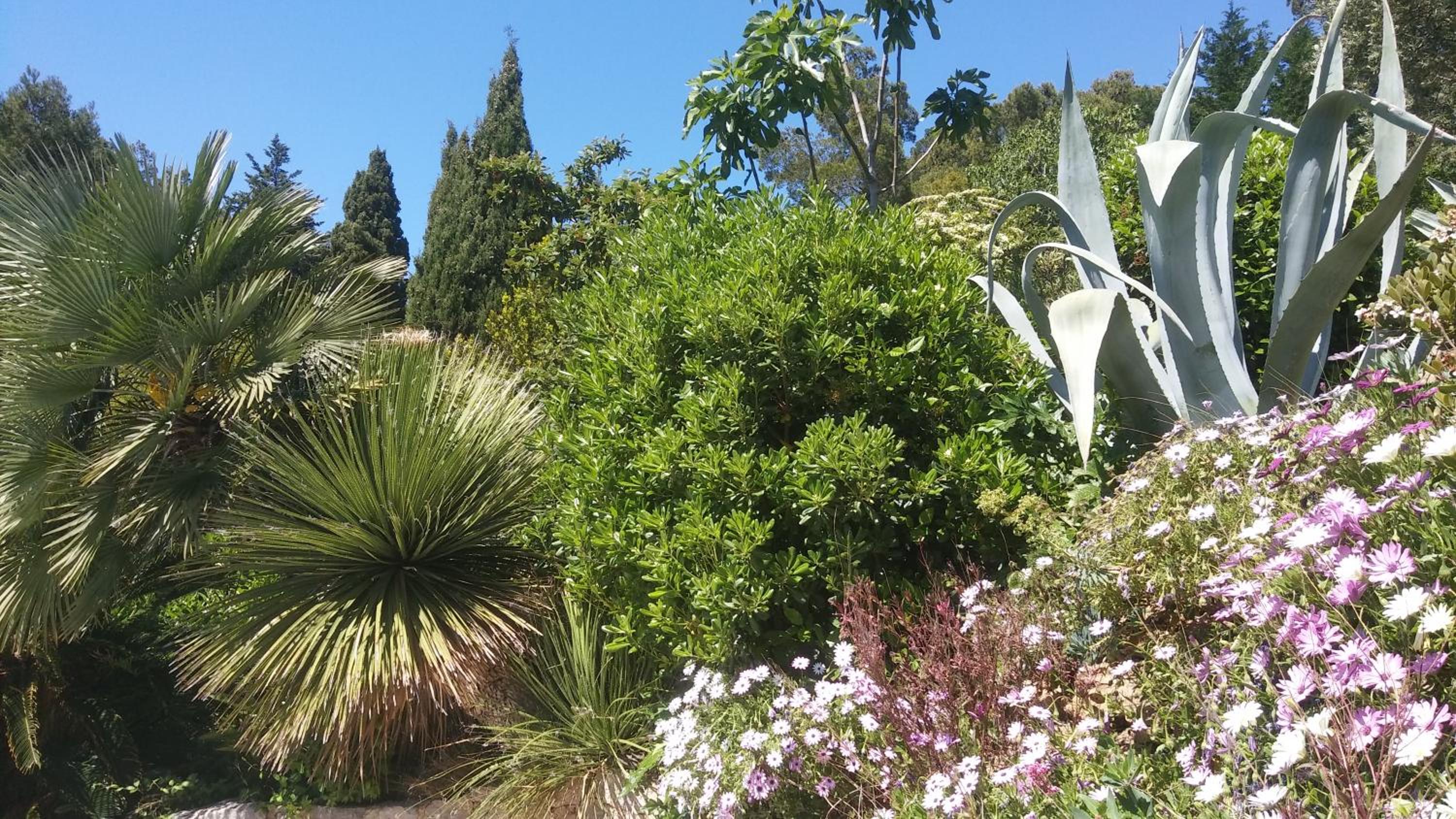 Villa Le Clos Fleuri
