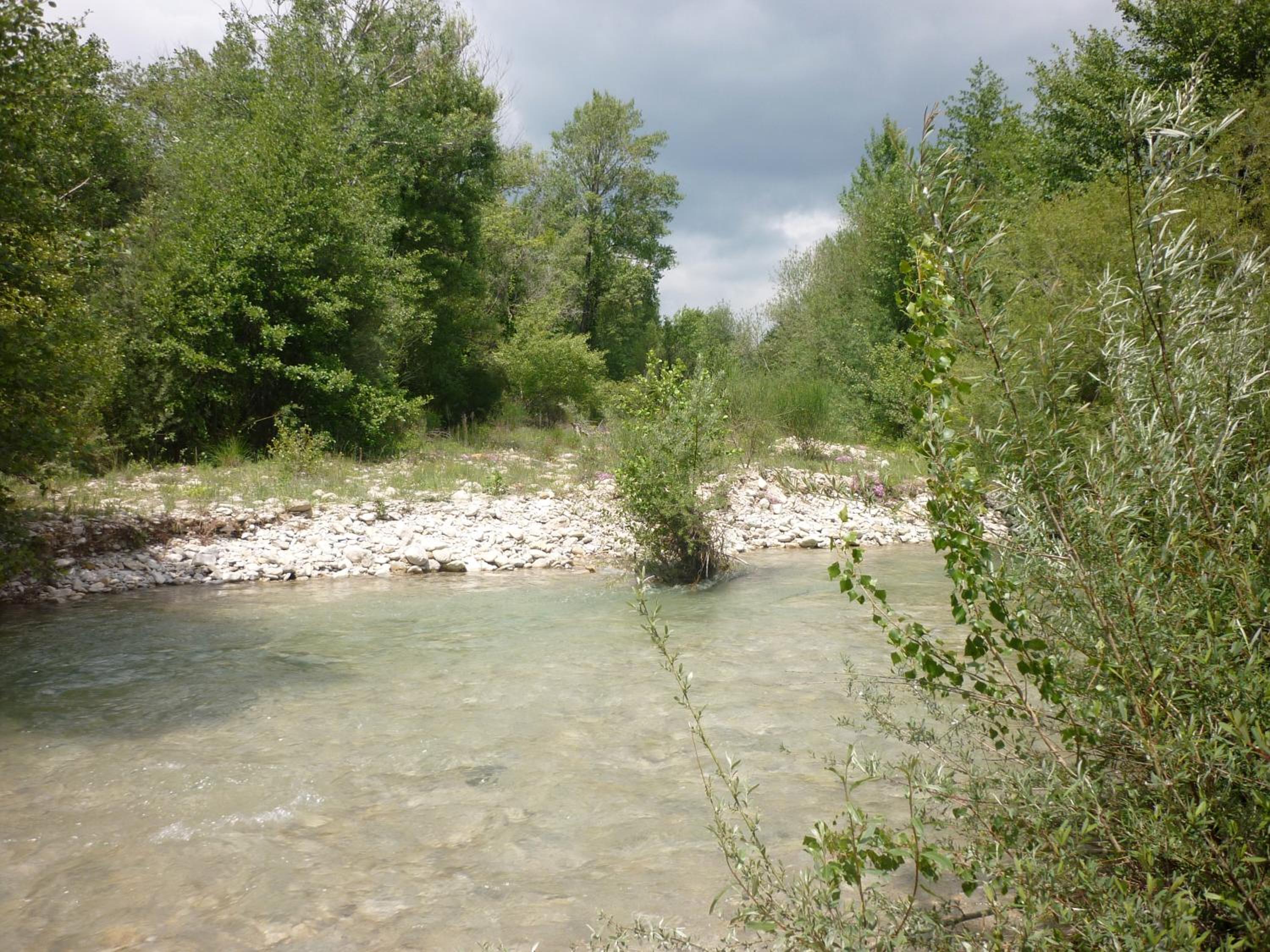 Photo 33