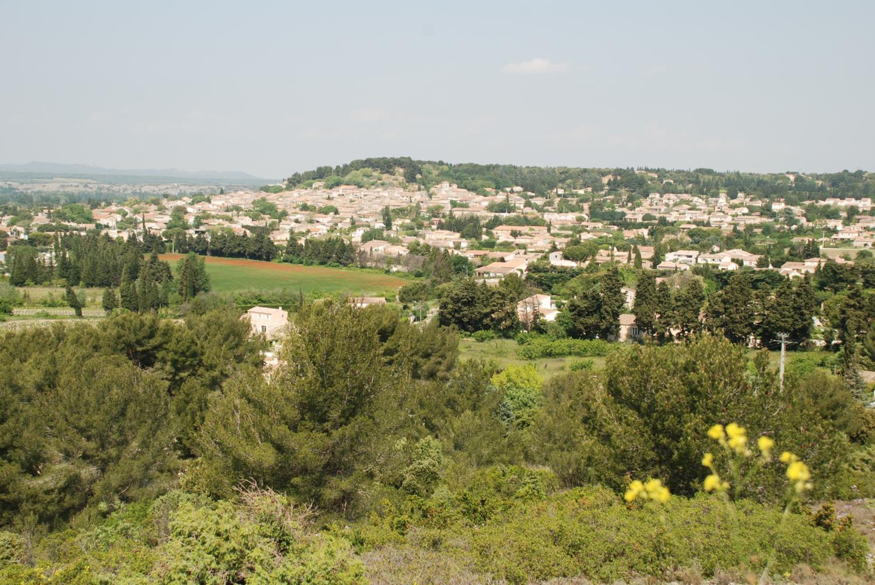 Photo 7