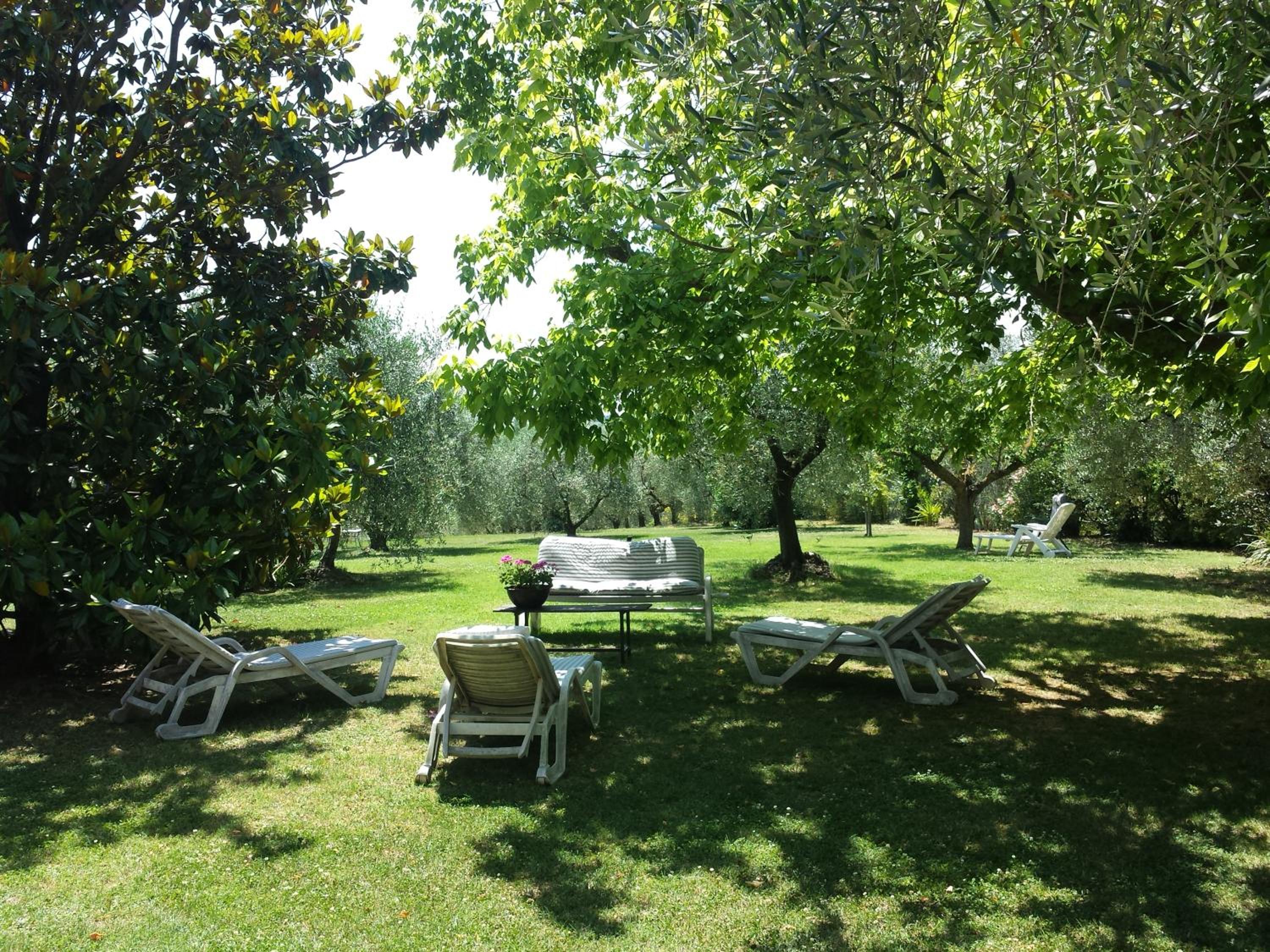Photo 7