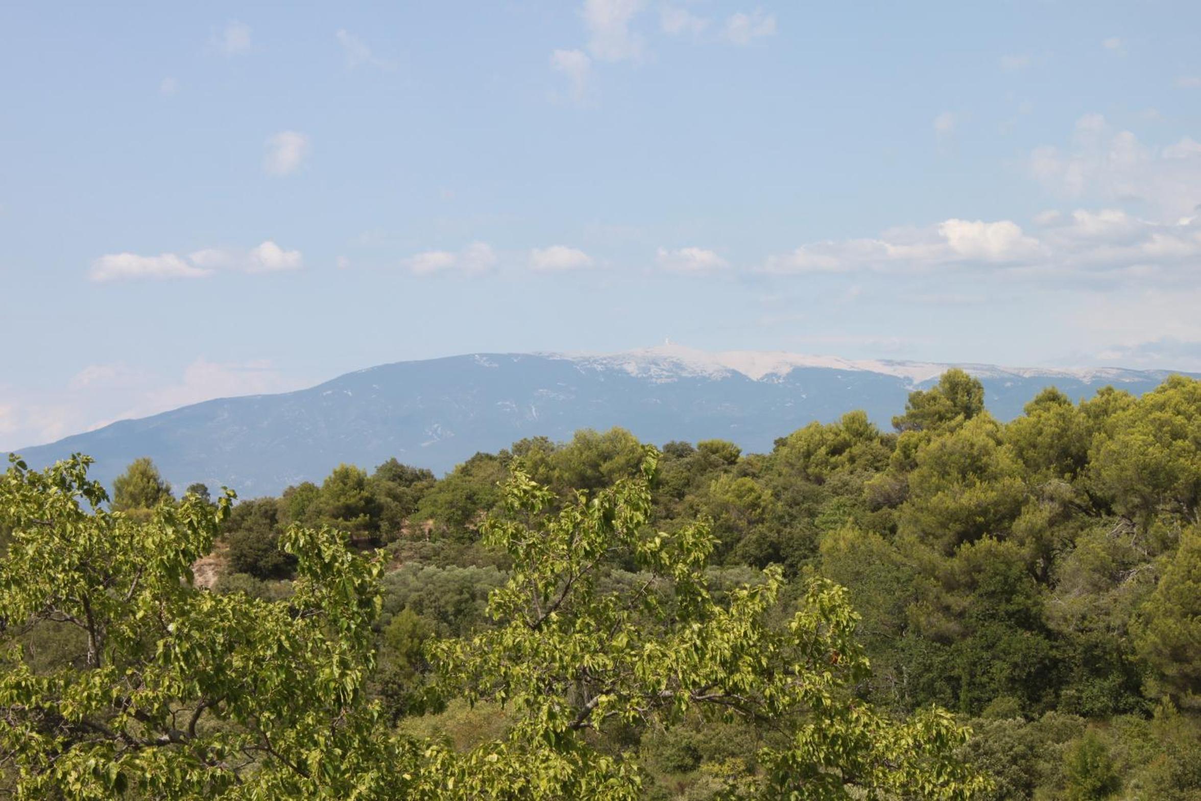 Mas de la Gonnette view 2