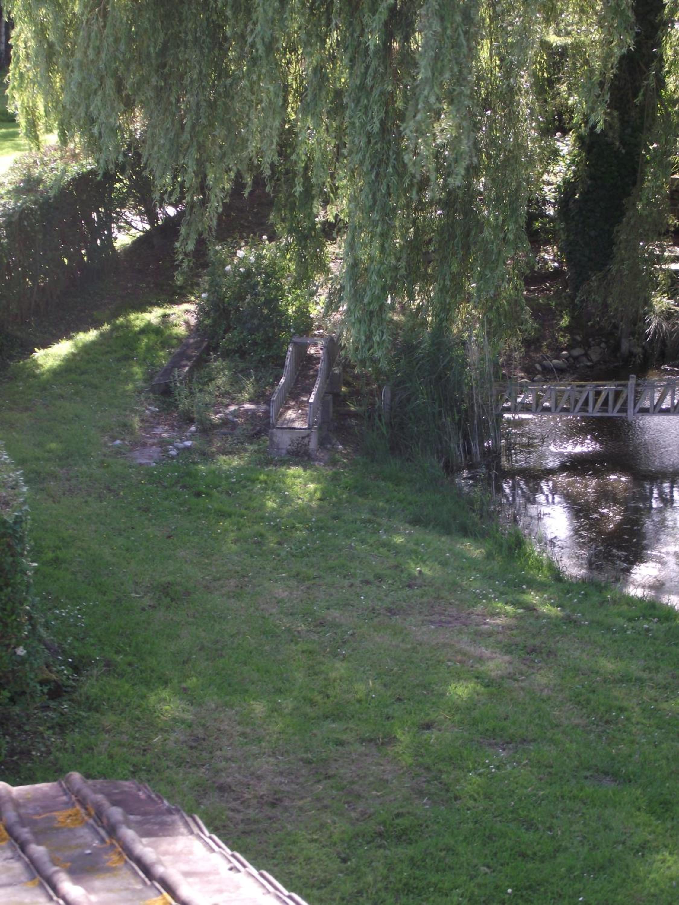 Photo 33