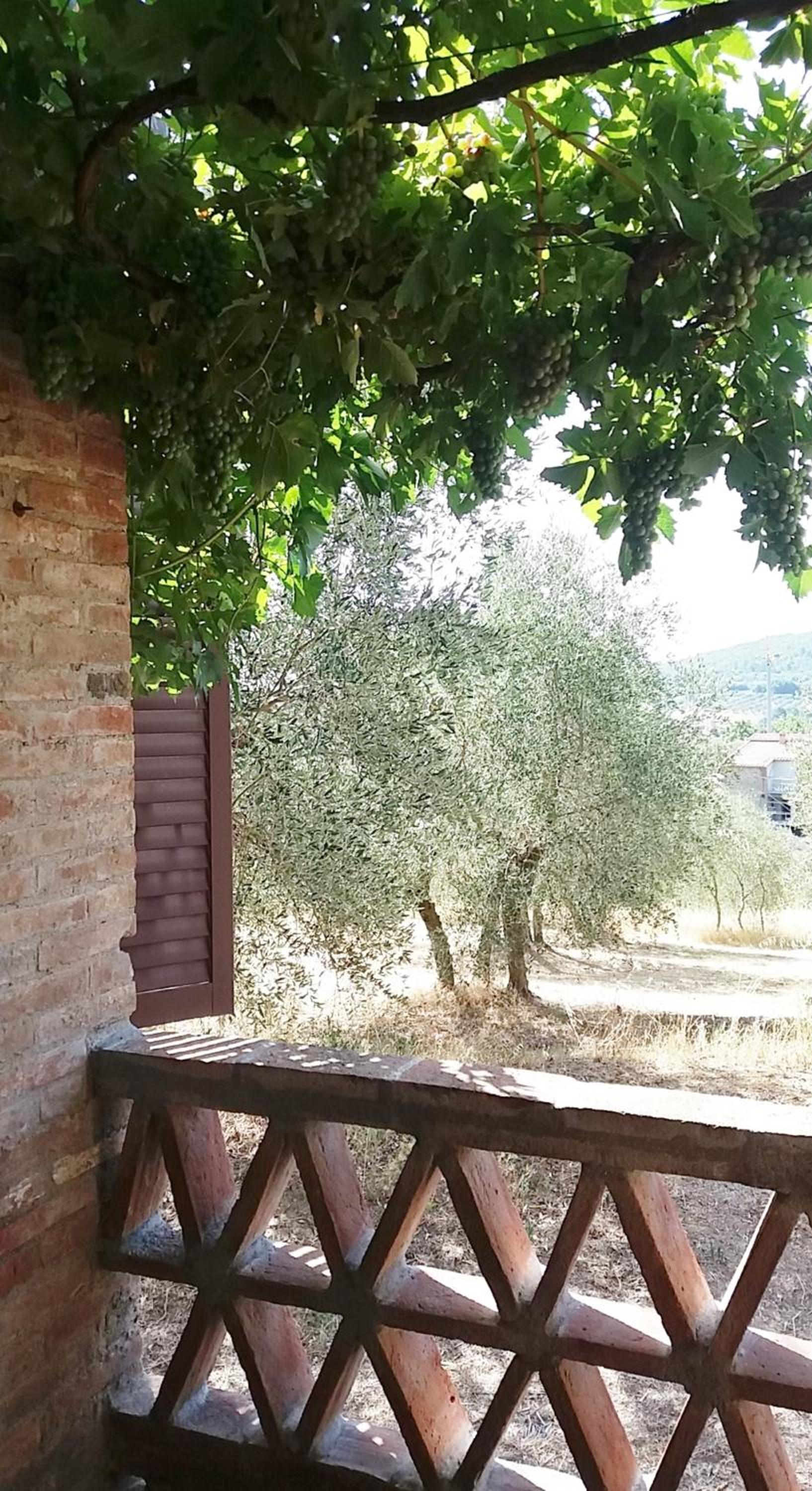 Casa dei Borghi view 4