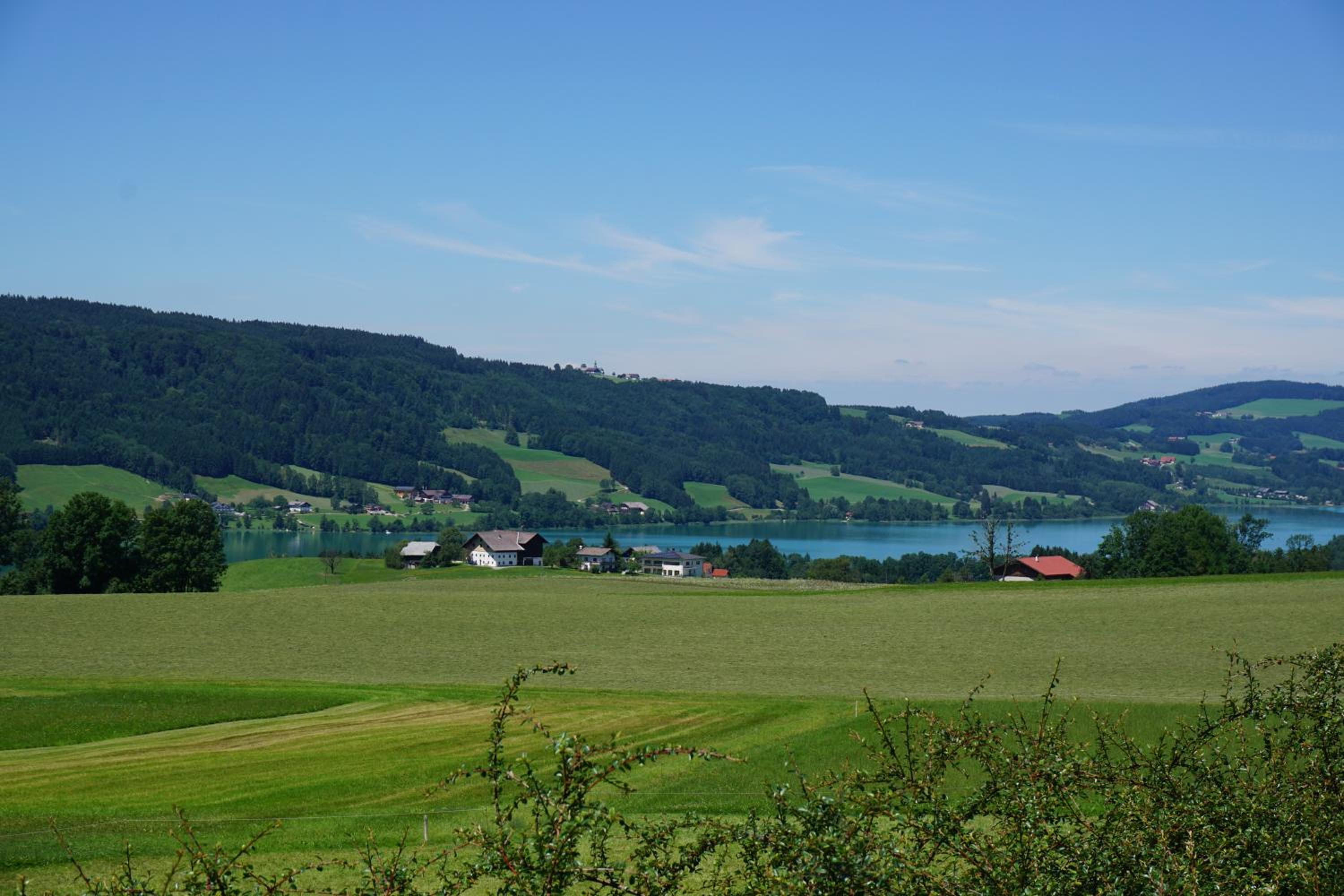 Ferienwohnung Hausleitner view 5