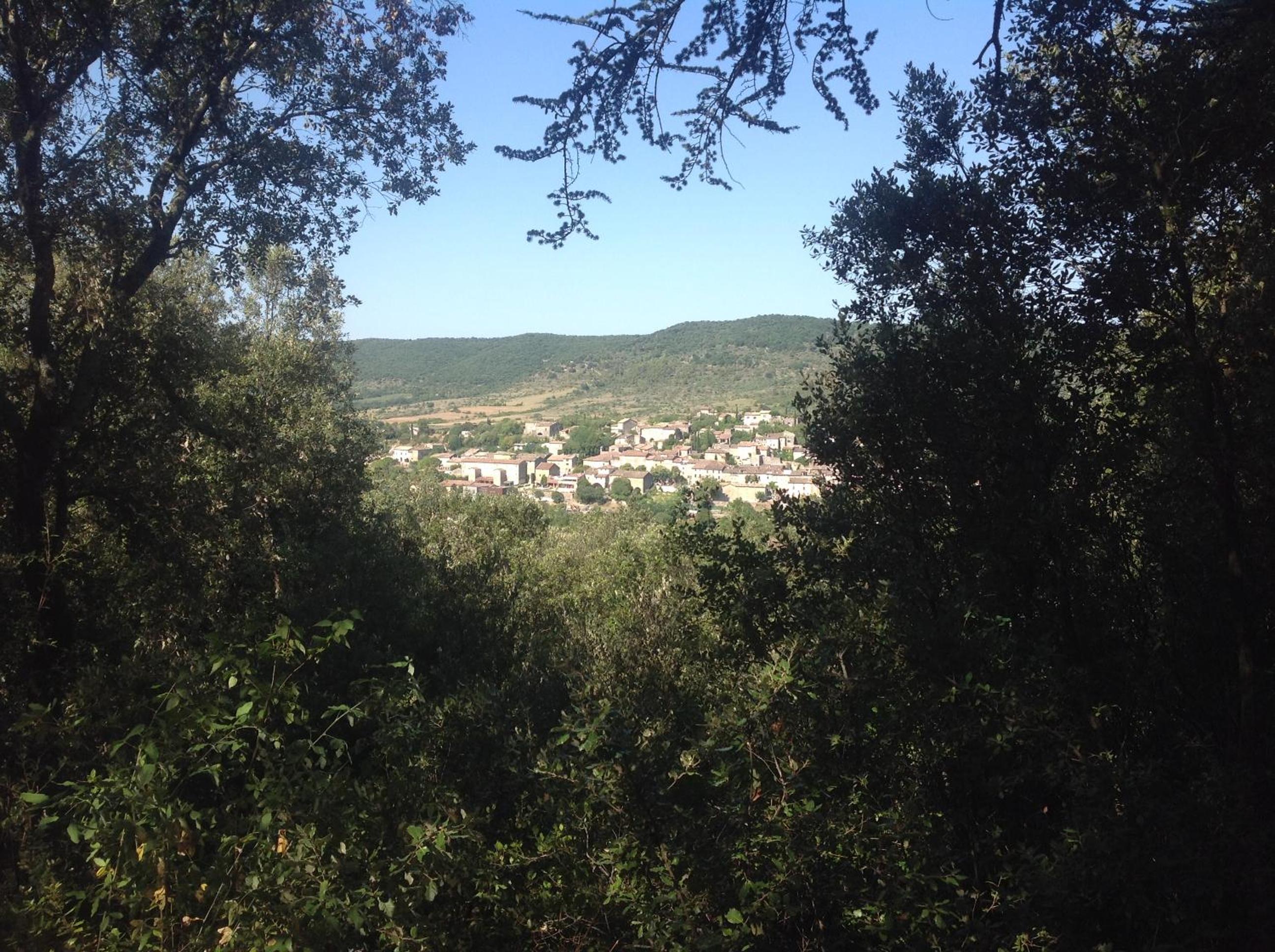 Photo 8