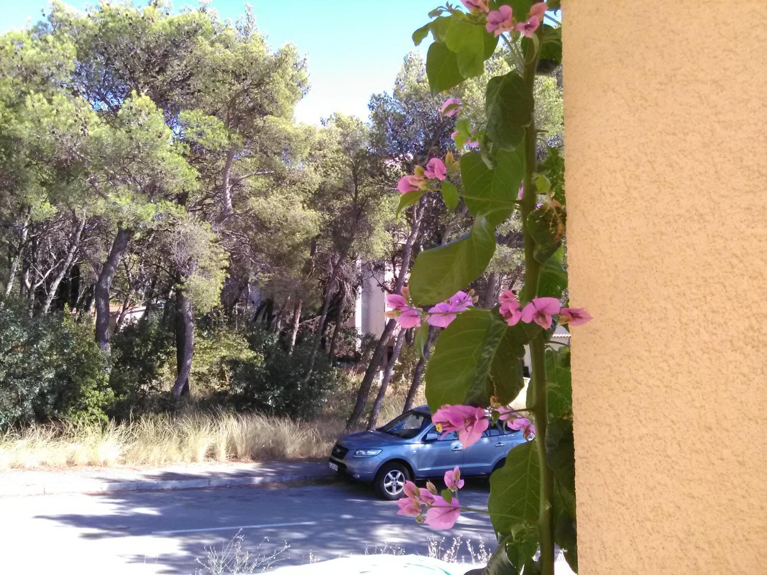 Hotel Apartment Petrus - Image 1