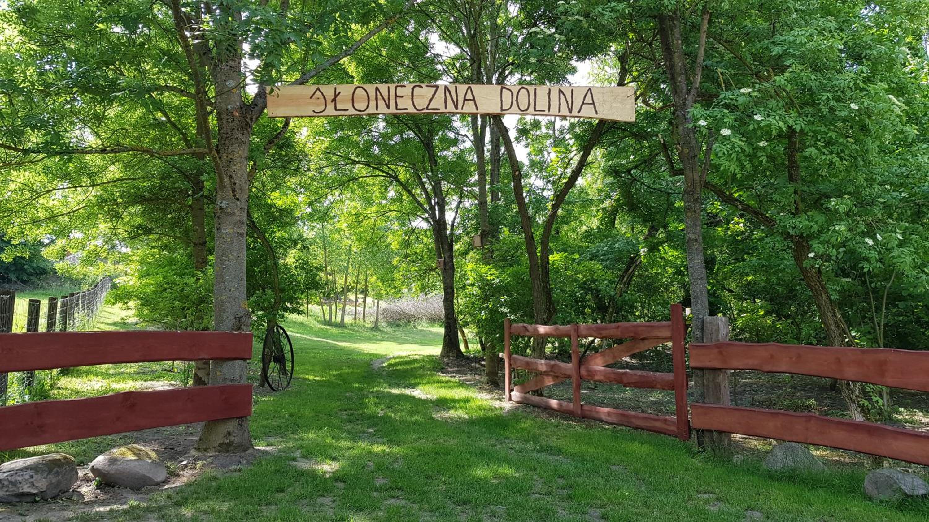 Photo 35