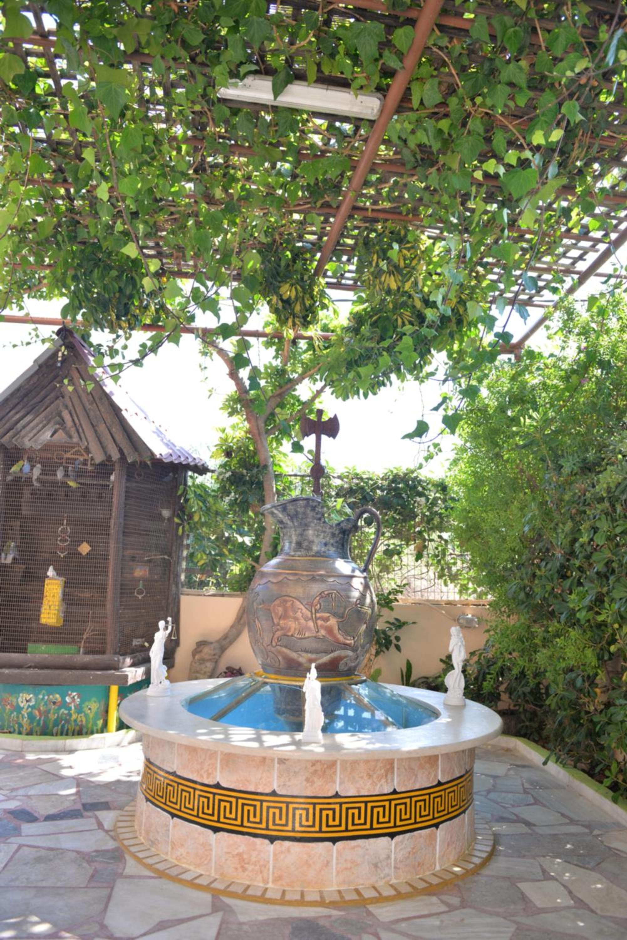Photo 11