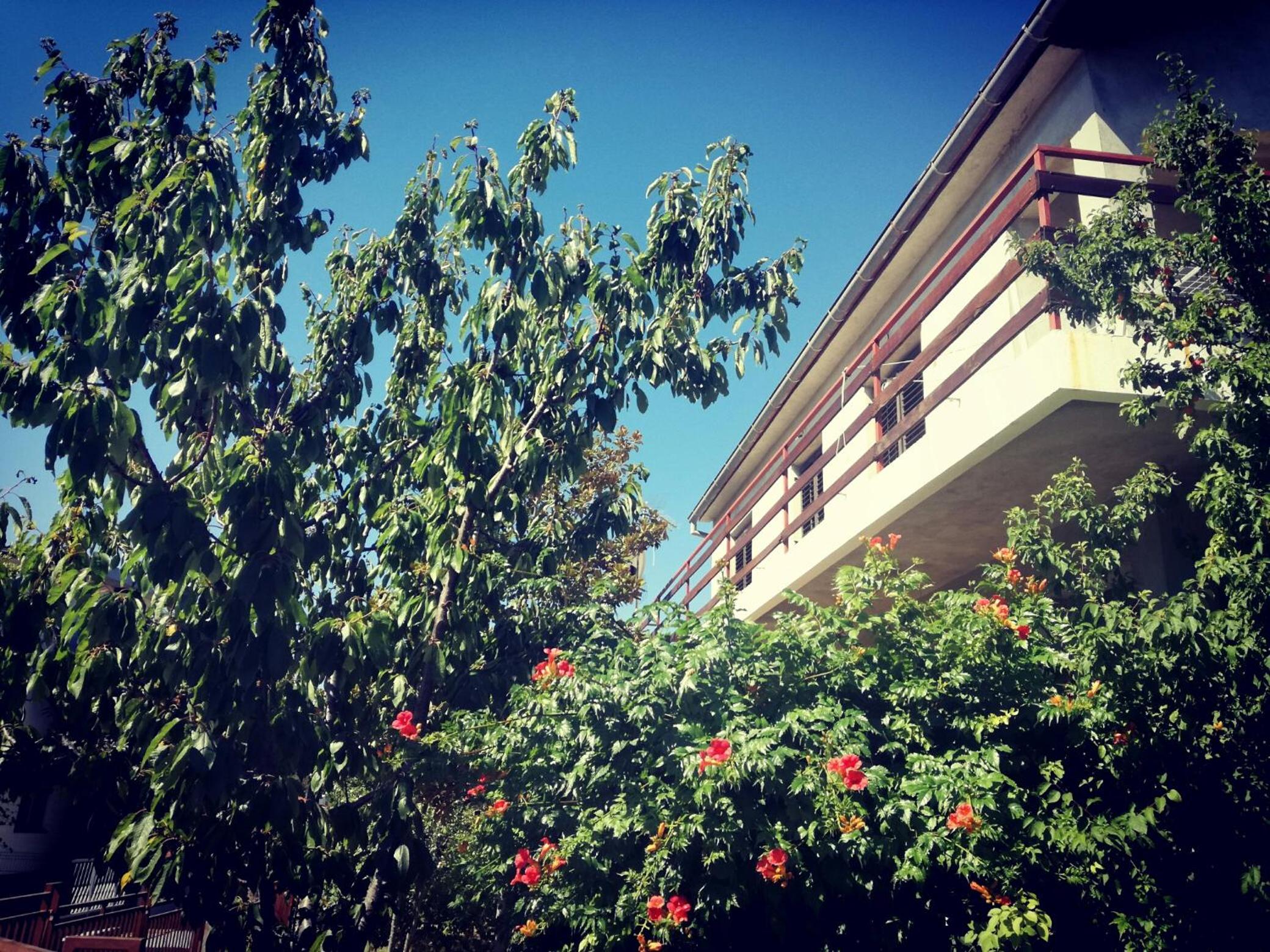 Villa Letina view 3