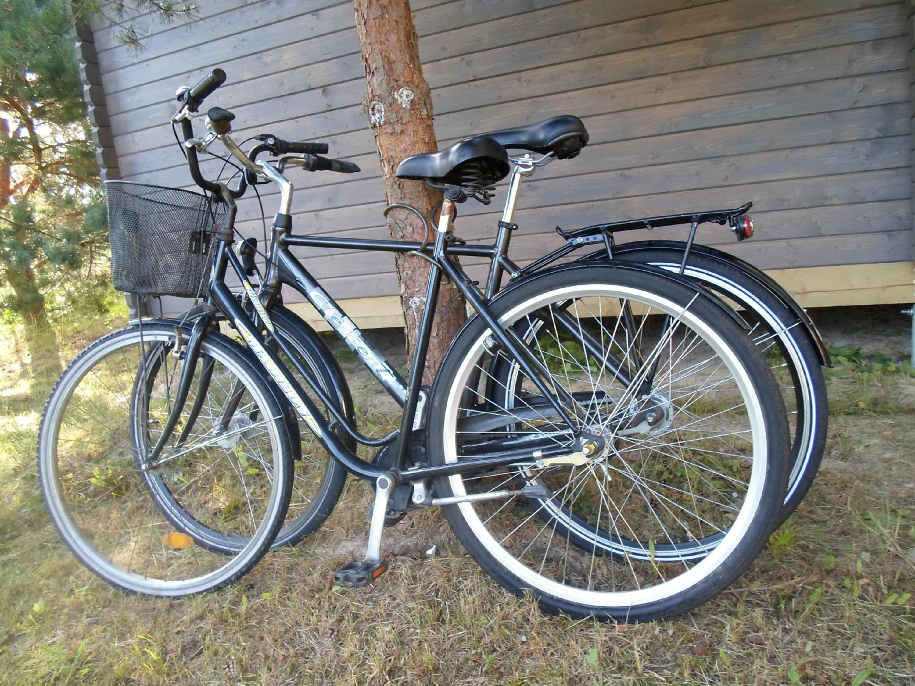 Photo 38