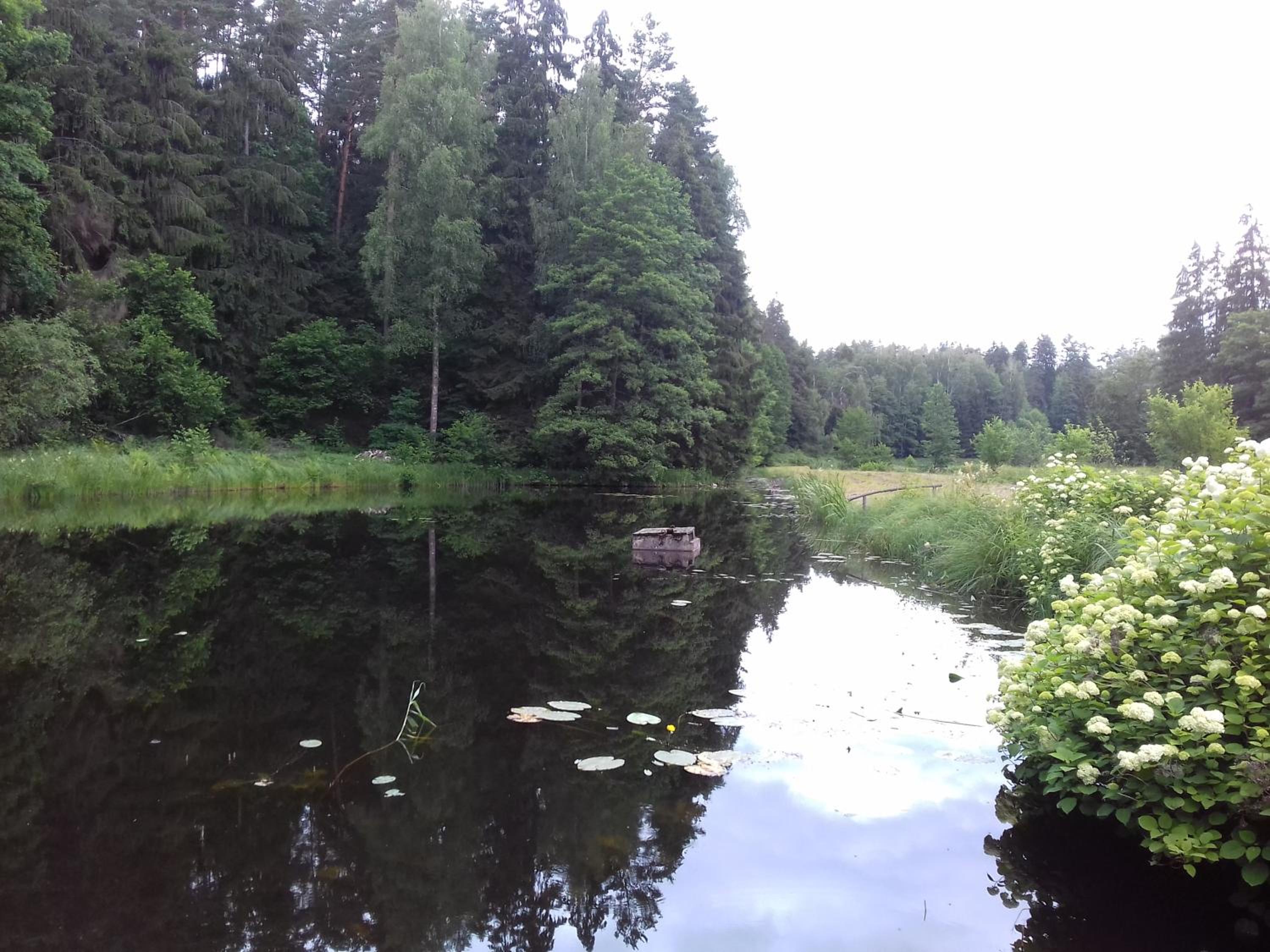 Photo 19