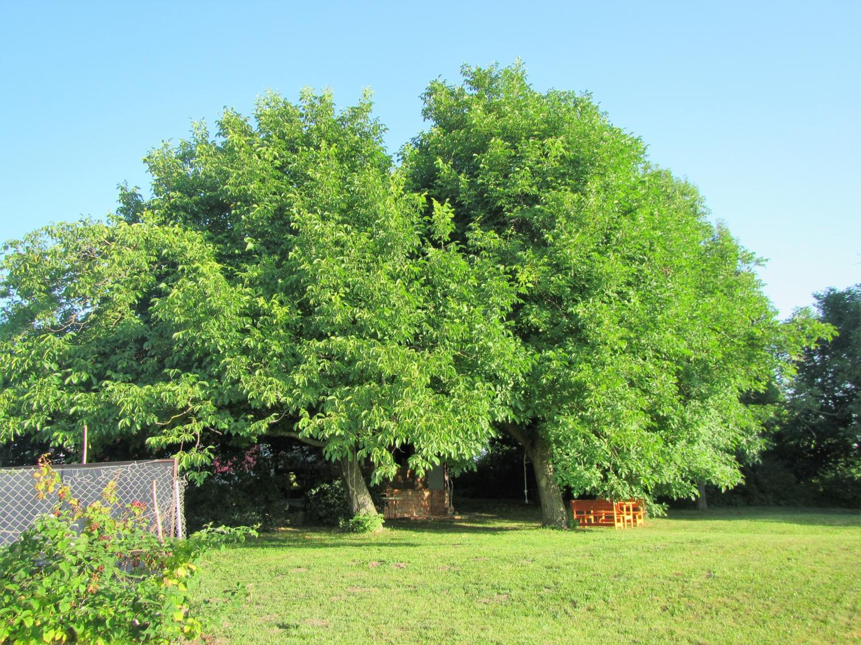 Photo 24