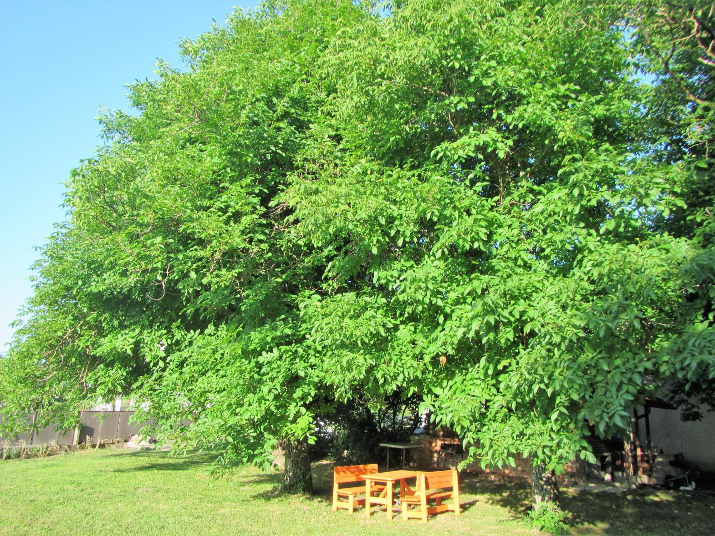 Photo 27