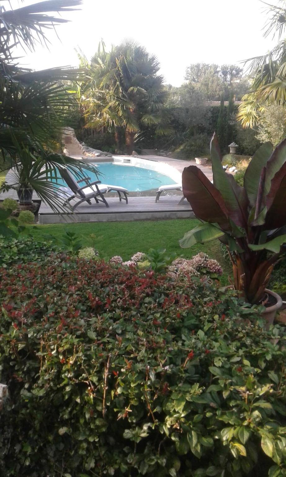 Cote jardin view 4