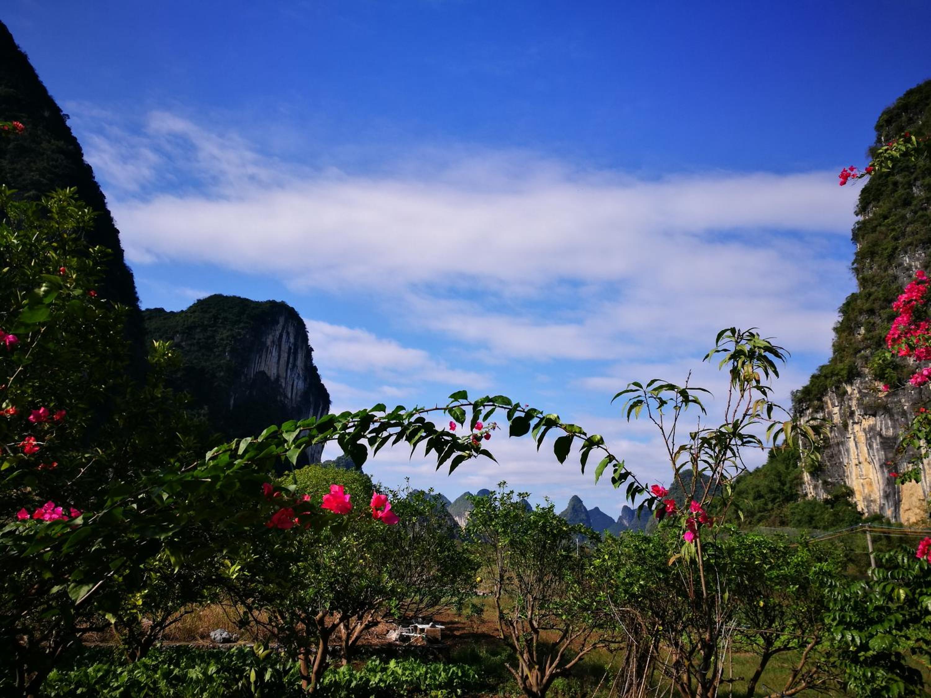 Pure Joy Resort
