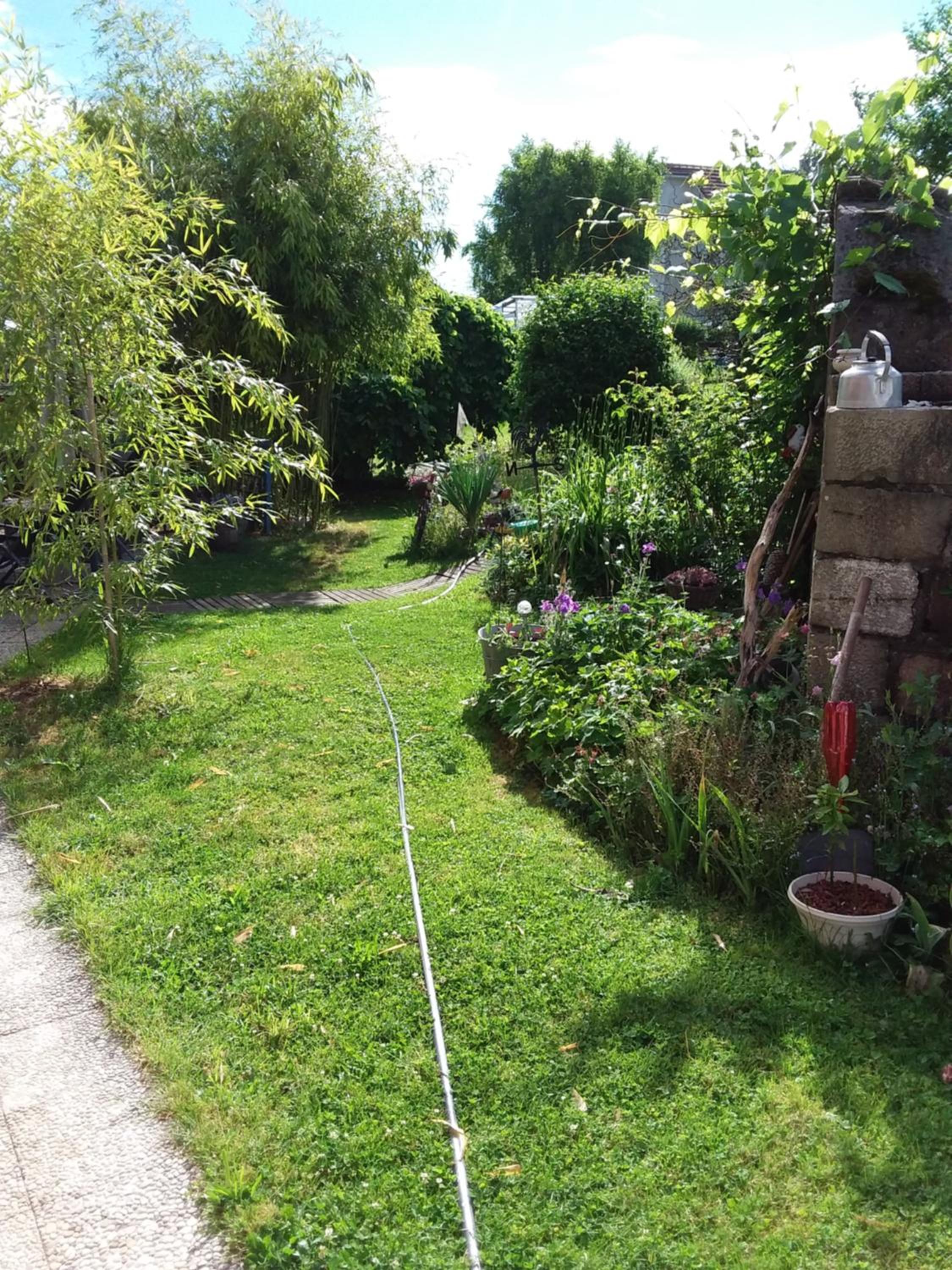 Photo 34