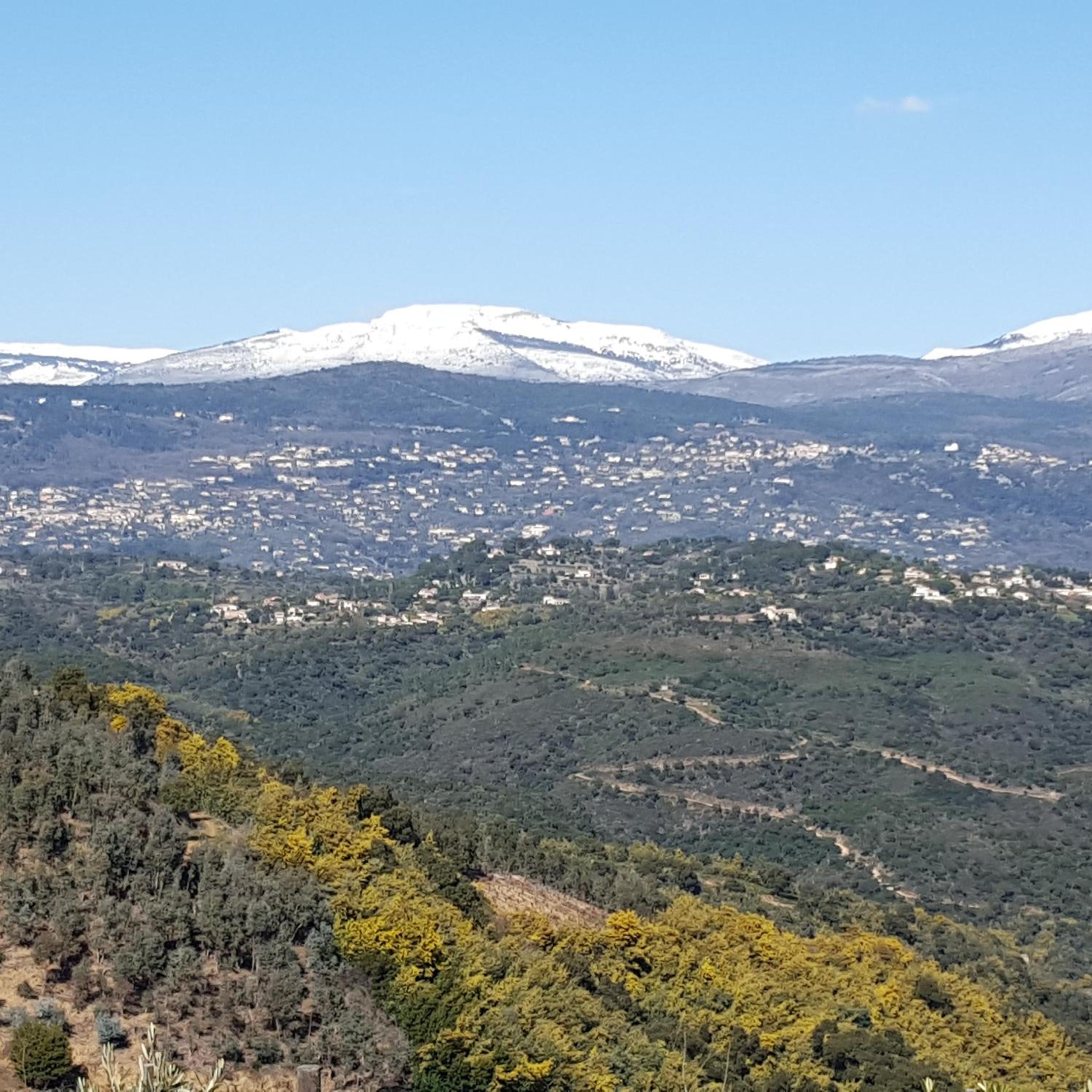 villa des oliviers view 3